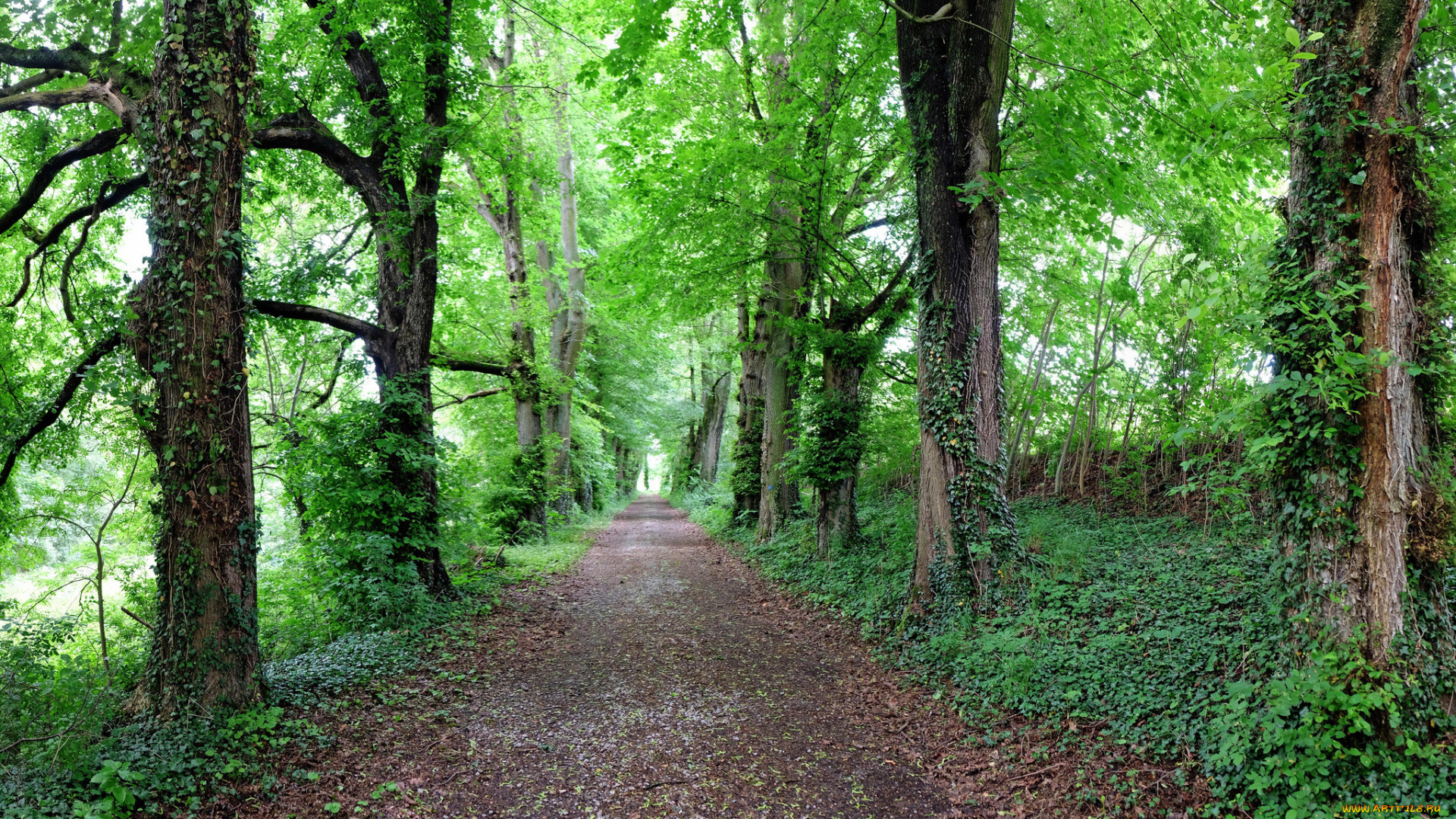 природа, дороги, скалы