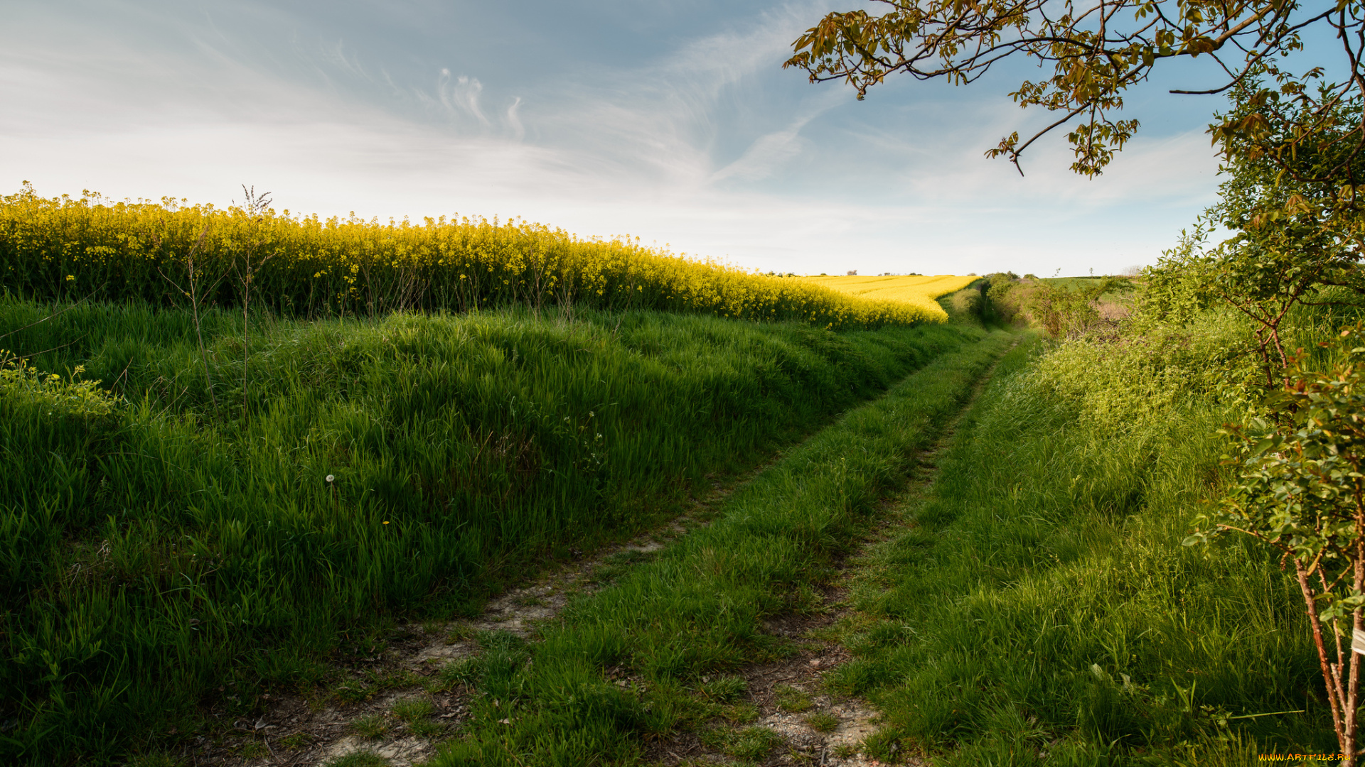 природа, дороги, скалы