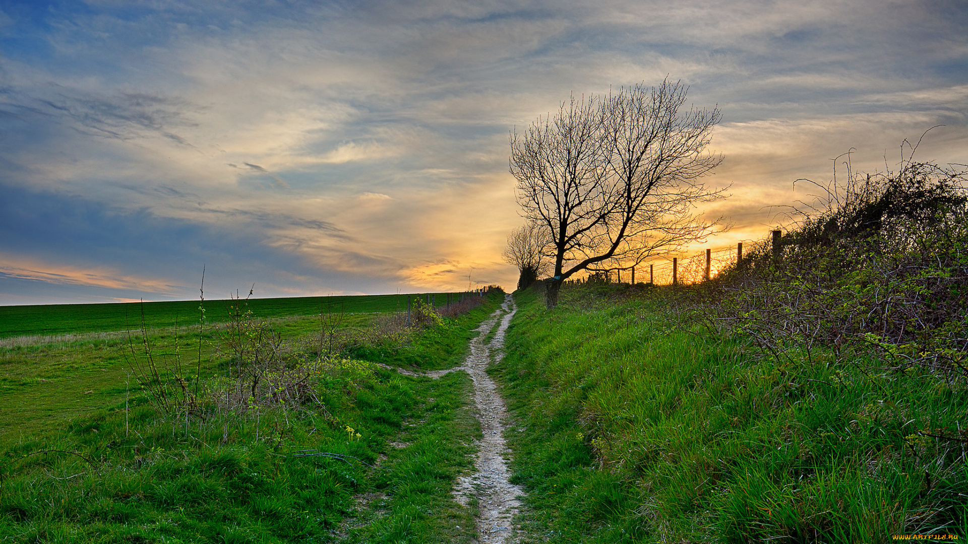 природа, дороги, скалы