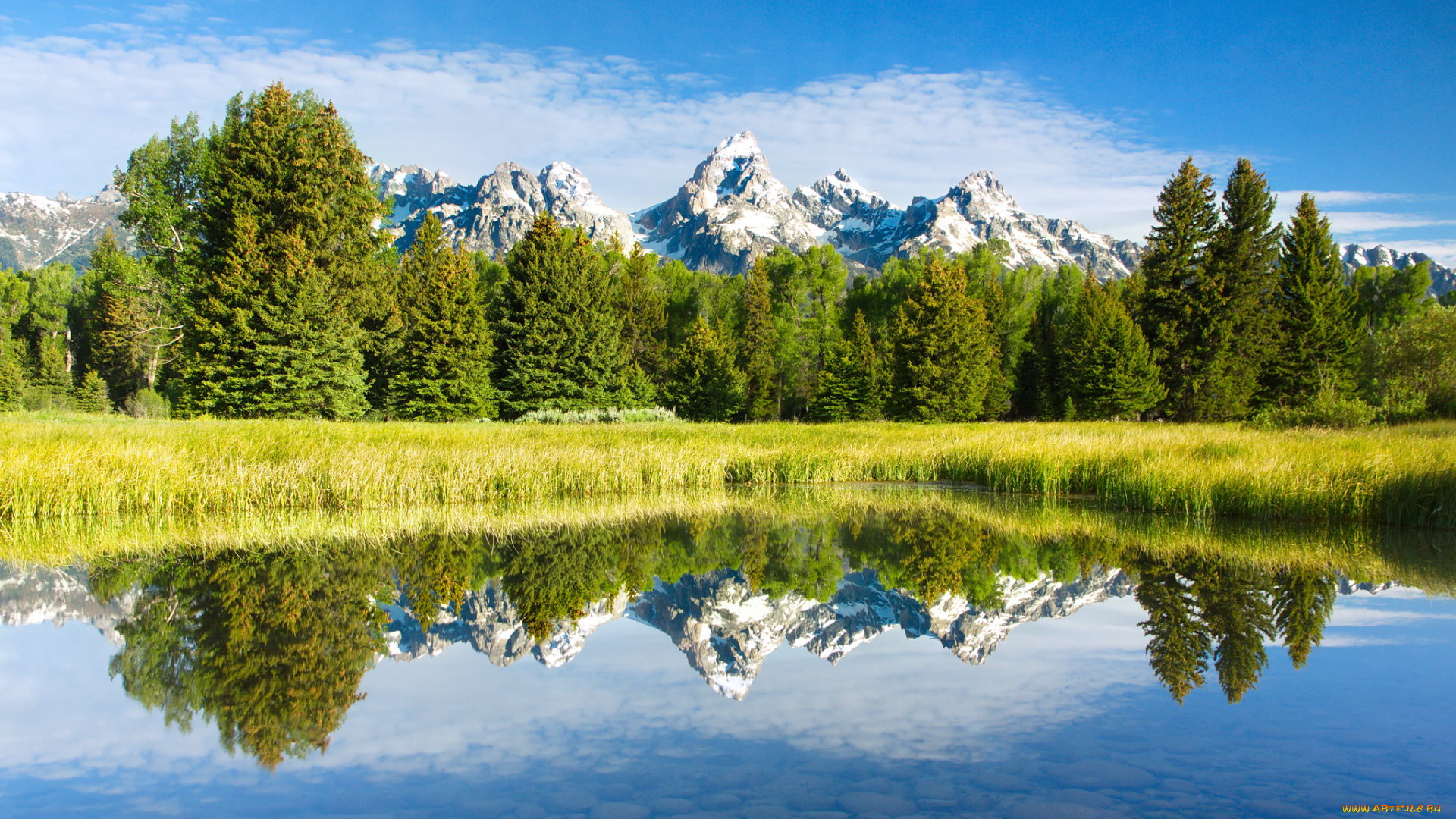 природа, реки, озера, горы, лес, река