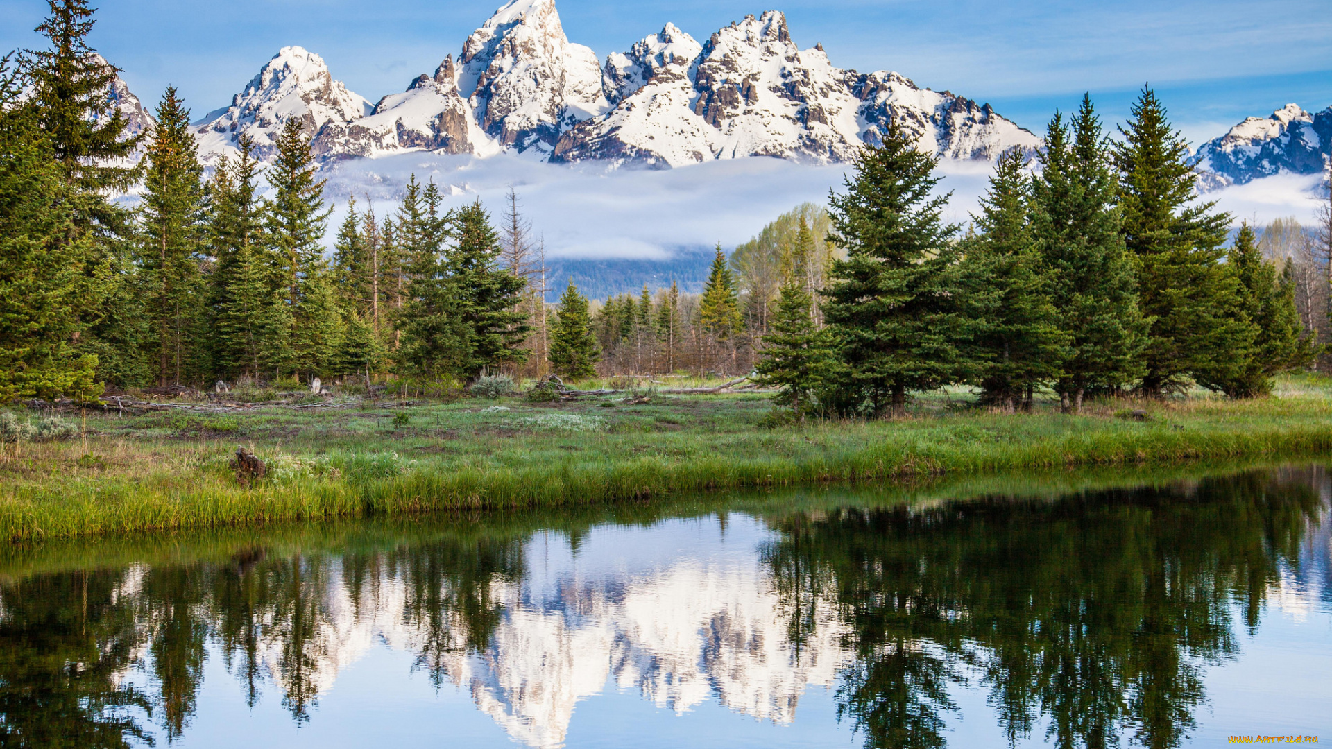 природа, реки, озера, лес, горы, река