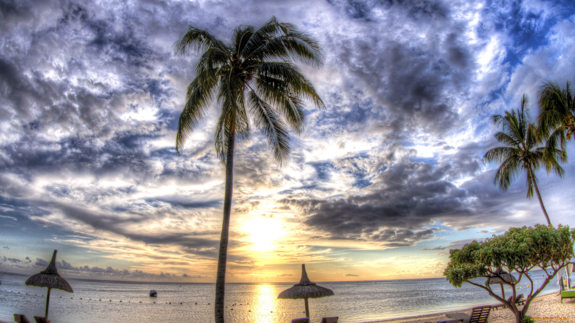 природа, тропики, курорт