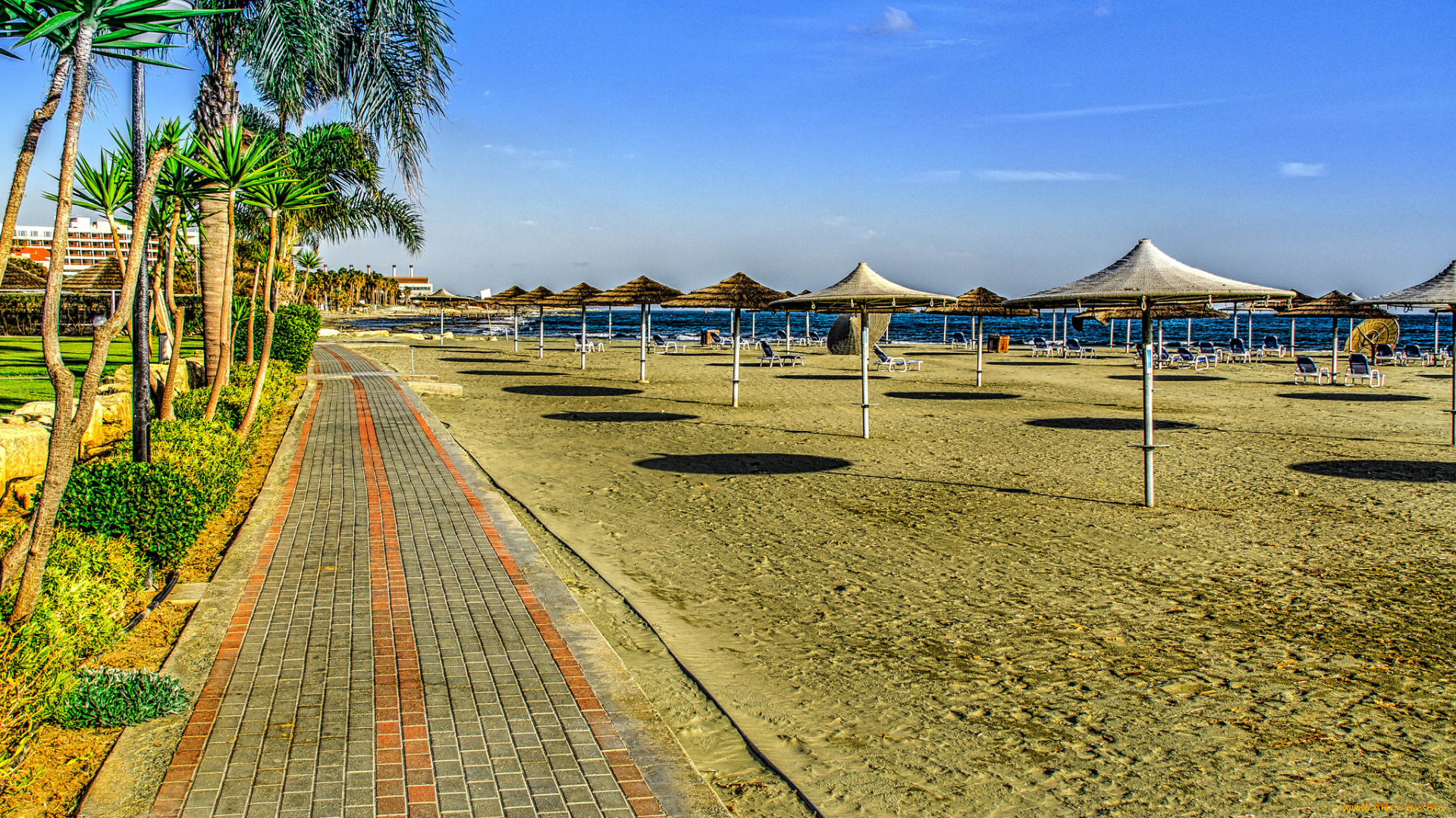 природа, тропики, курорт