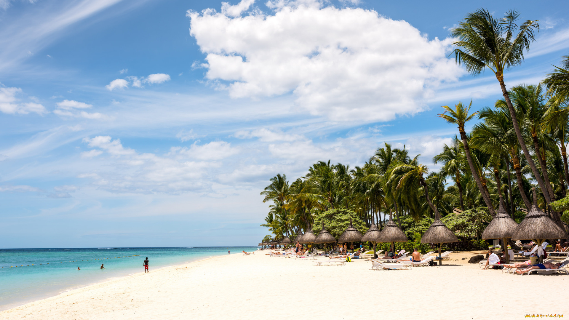 природа, тропики, курорт