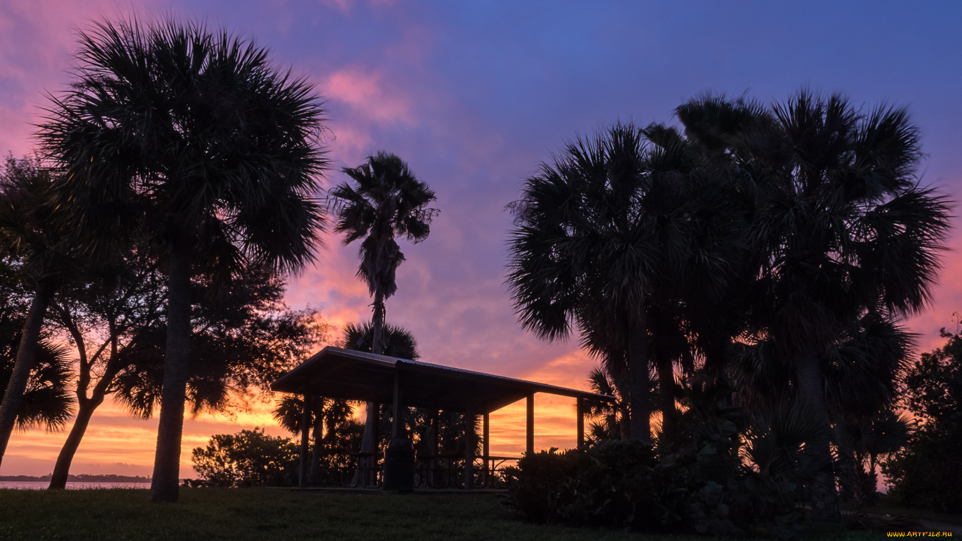 природа, тропики, курорт