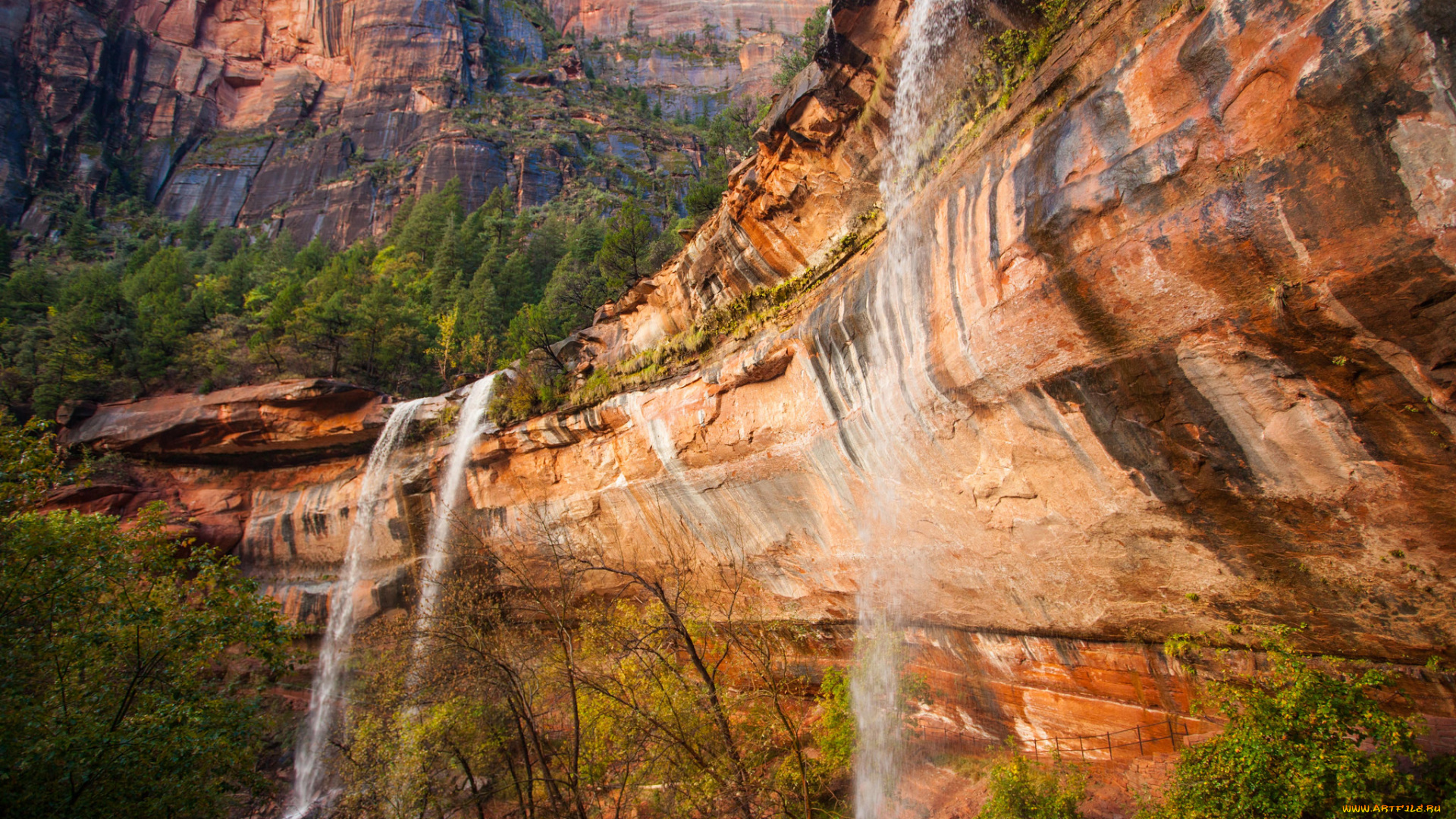 природа, водопады, лес, водопад, река
