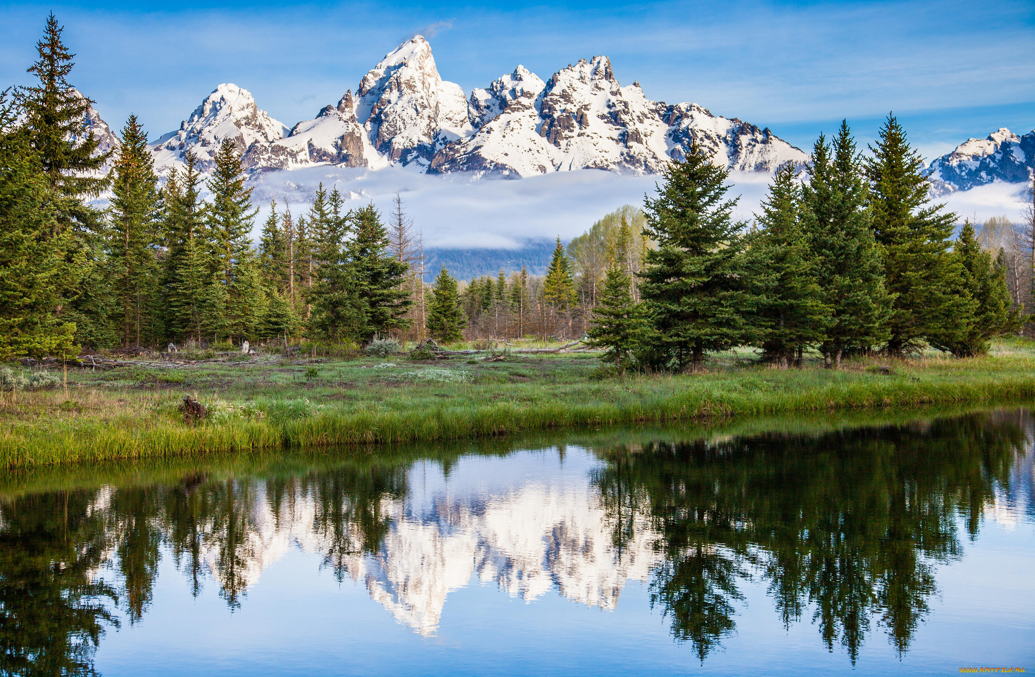 природа, реки, озера, лес, горы, река