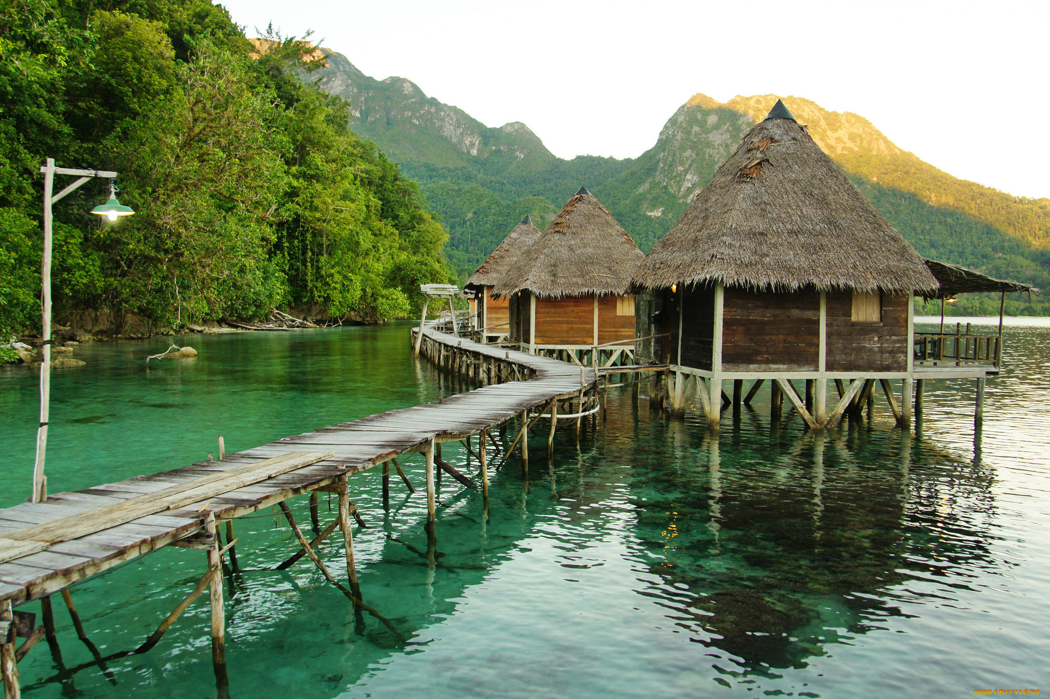 природа, тропики, курорт