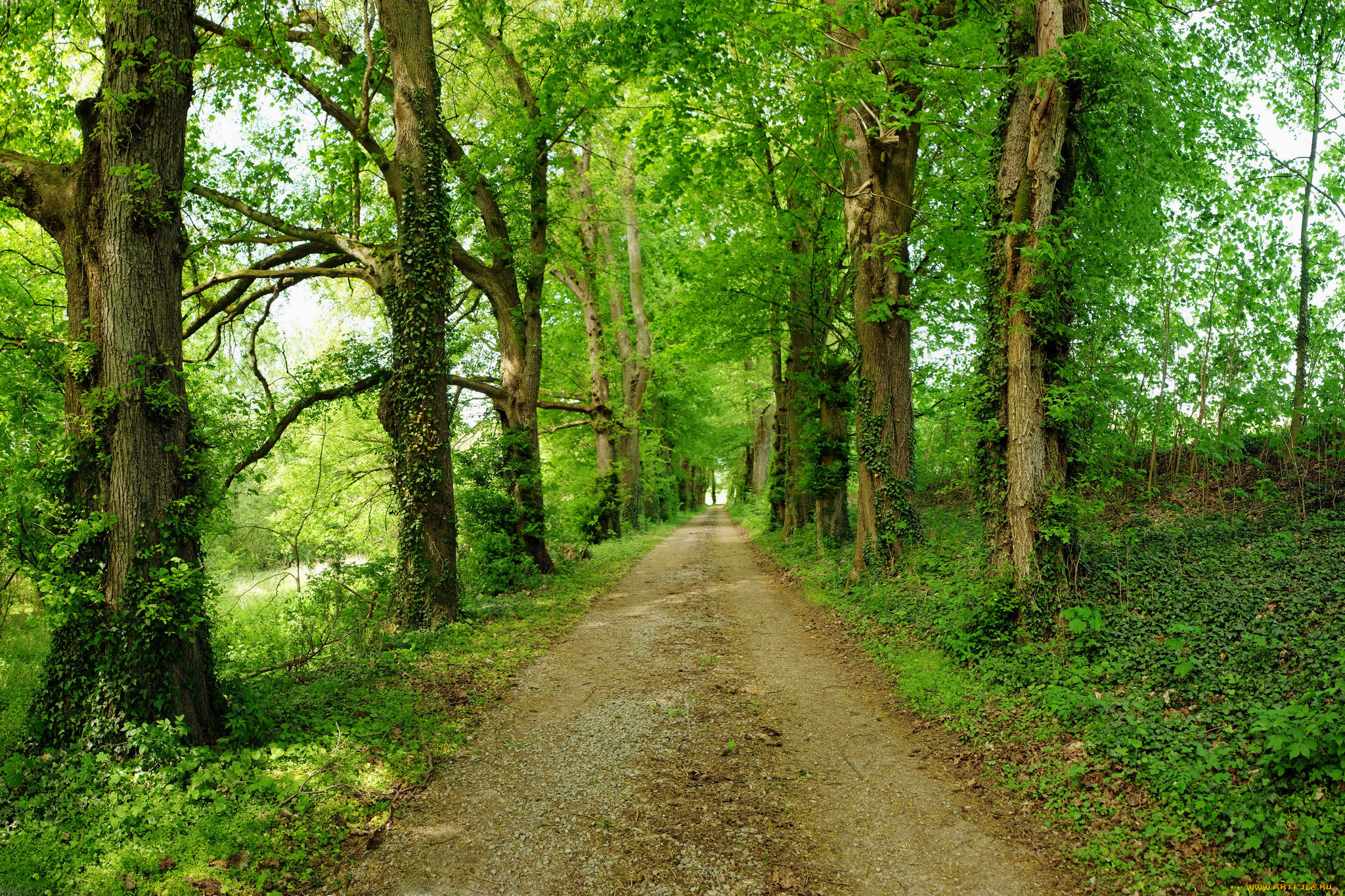 природа, дороги, скалы