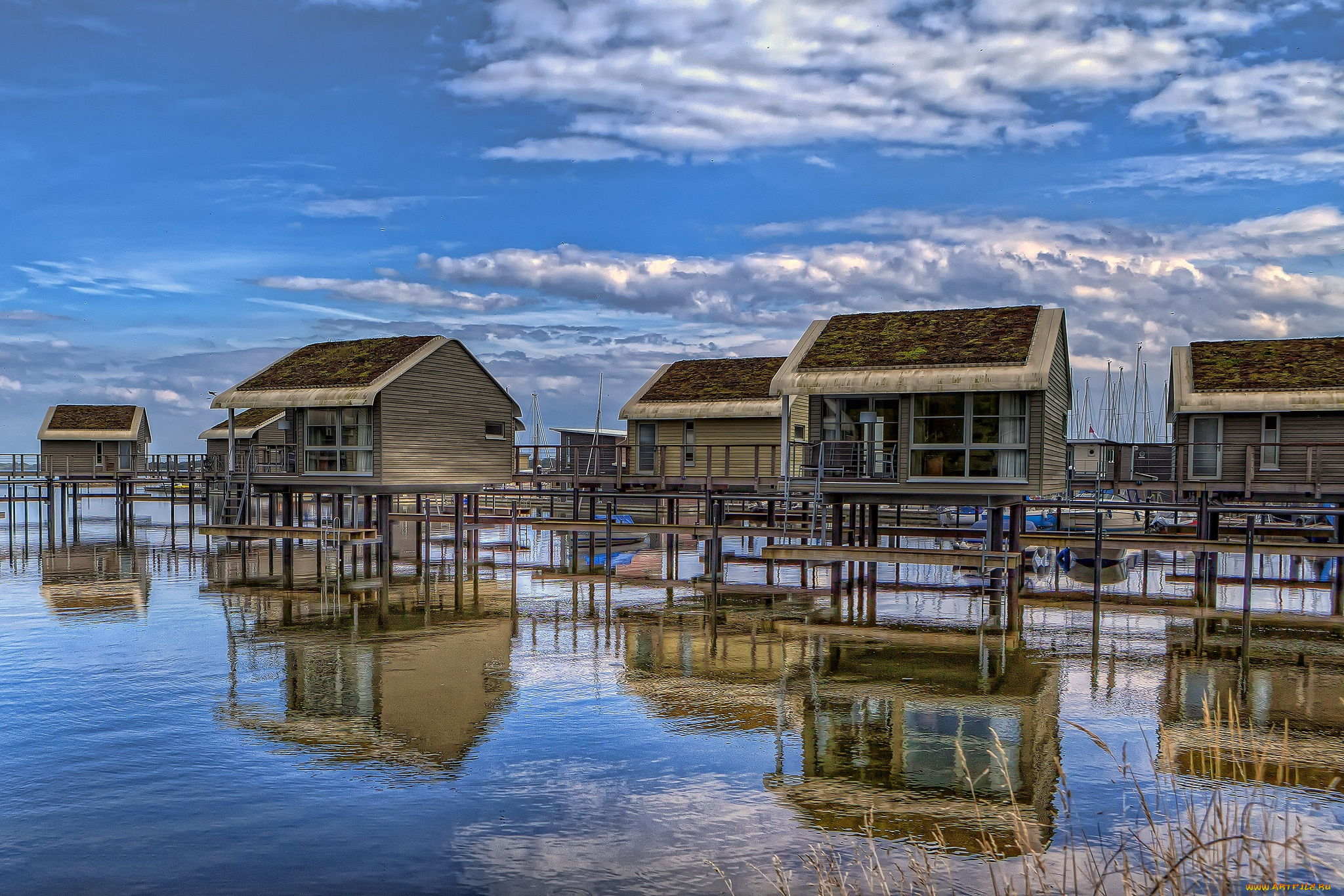 природа, тропики, курорт