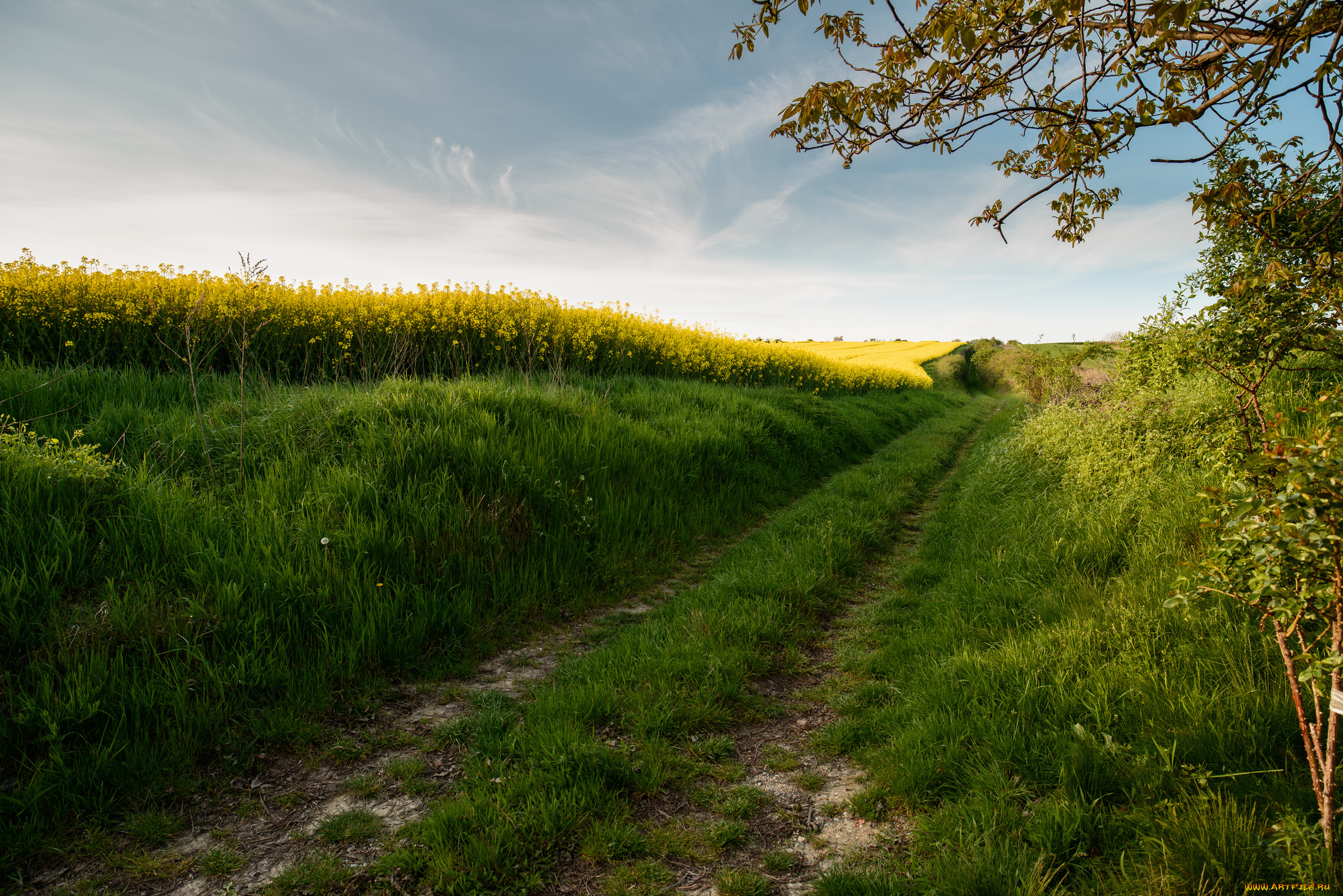 природа, дороги, скалы