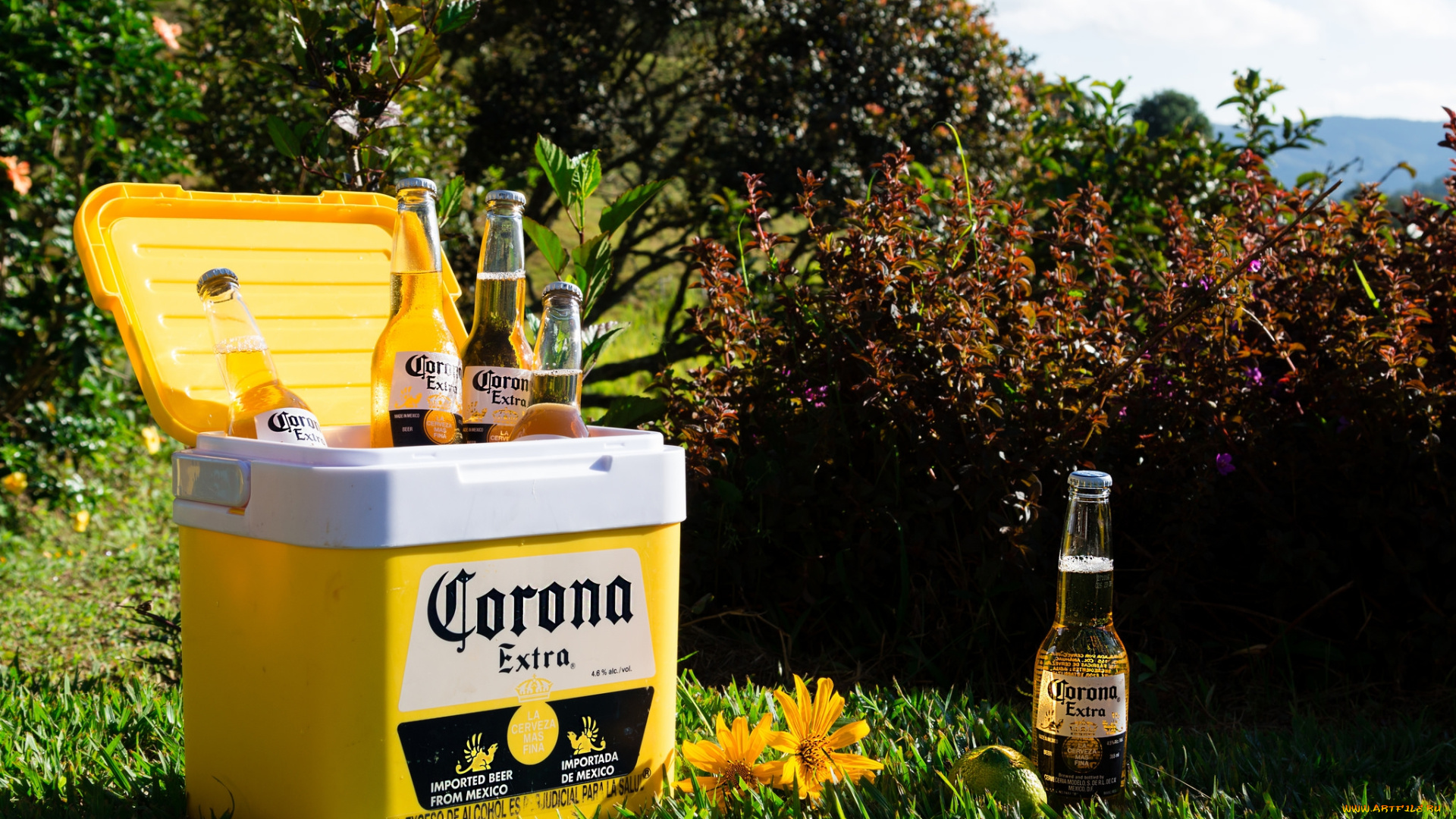 бренды, бренды, напитков, , разное, алкоголь