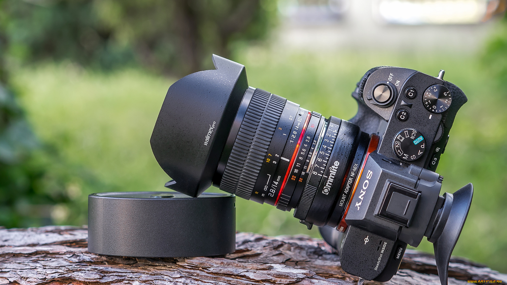 бренды, sony, фотокамера