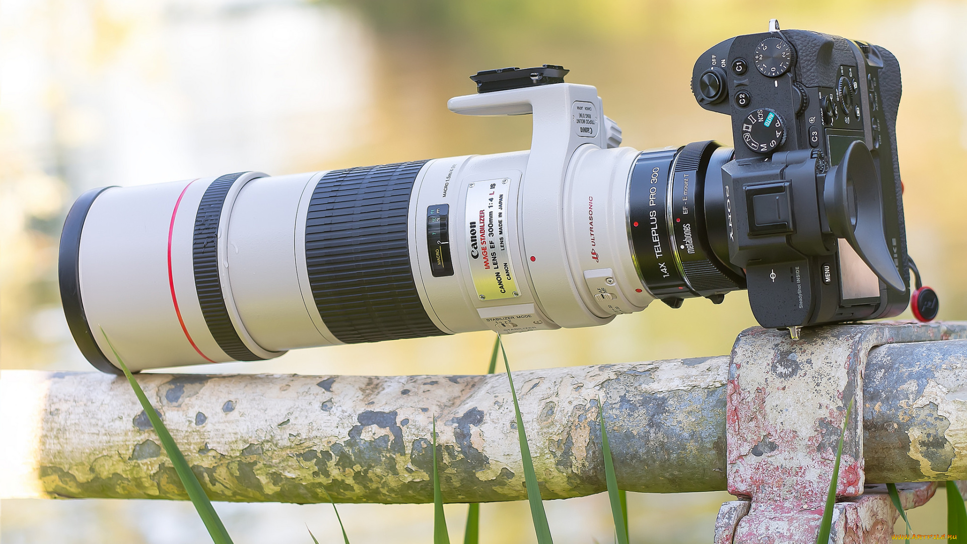 бренды, sony, фотокамера