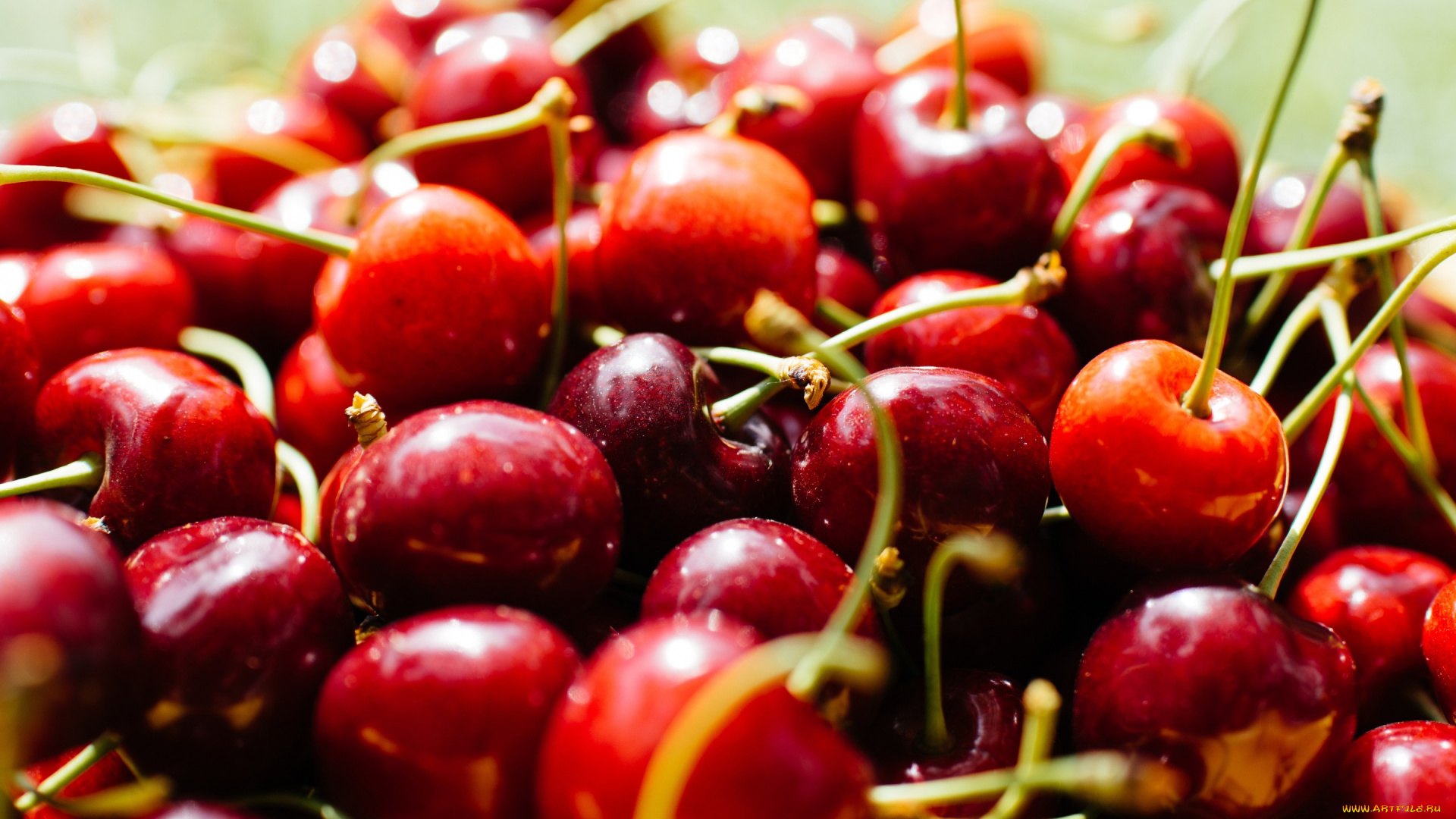 еда, вишня, , черешня, макро, много, черешня, боке, плодоножки, урожай, крупная, ягоды, изобилие, блеск