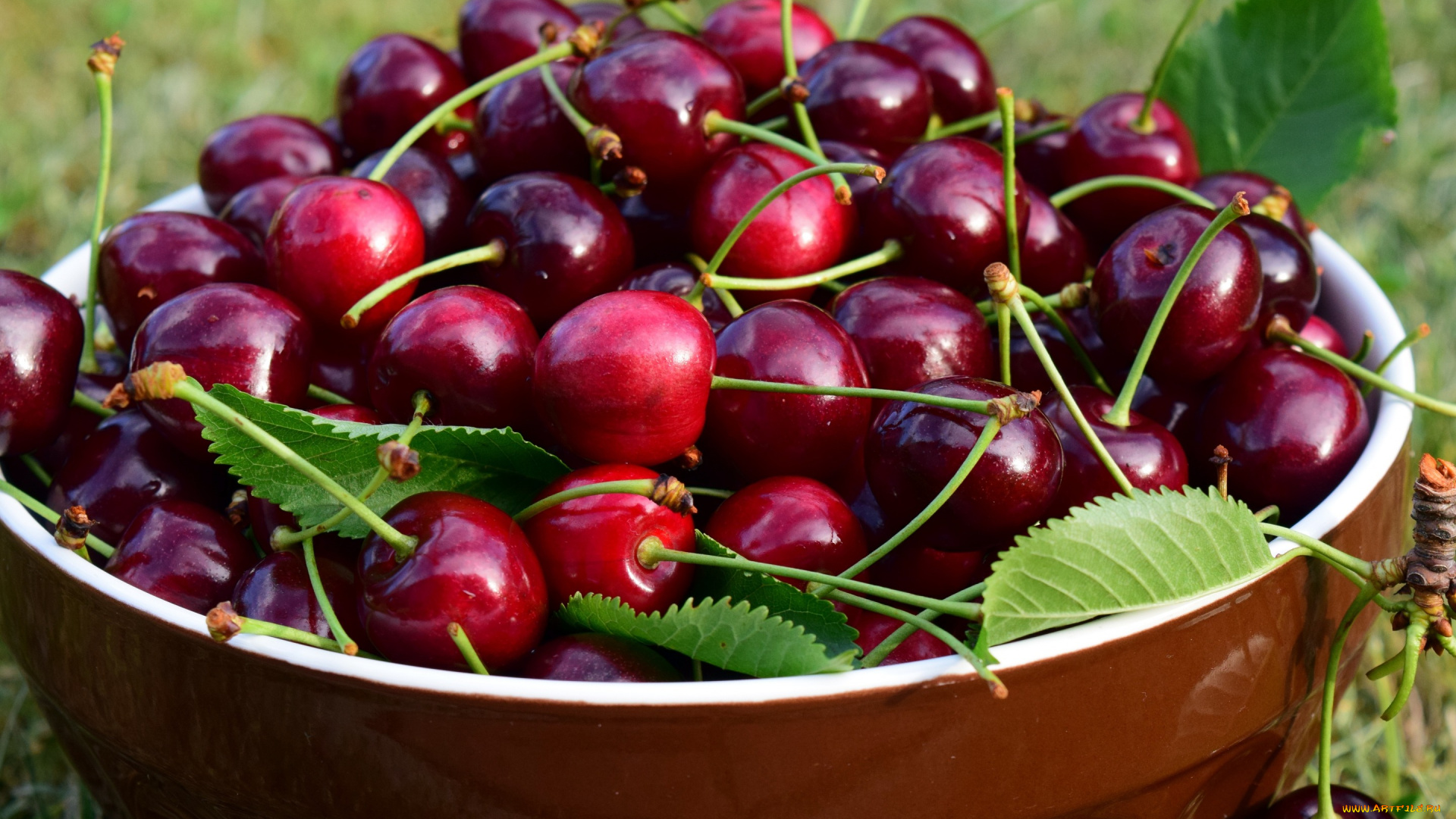 еда, вишня, , черешня, ягоды, миска, пиала, много, плодоножки, сочная, вкусно, блеск, сочно, природа, чашка, керамика, листья, черешня, урожай