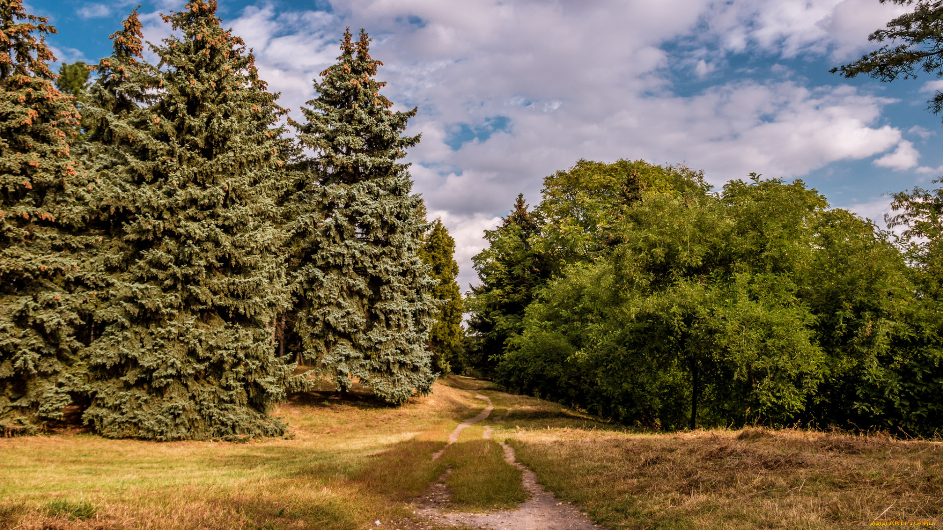 природа, дороги, тракт