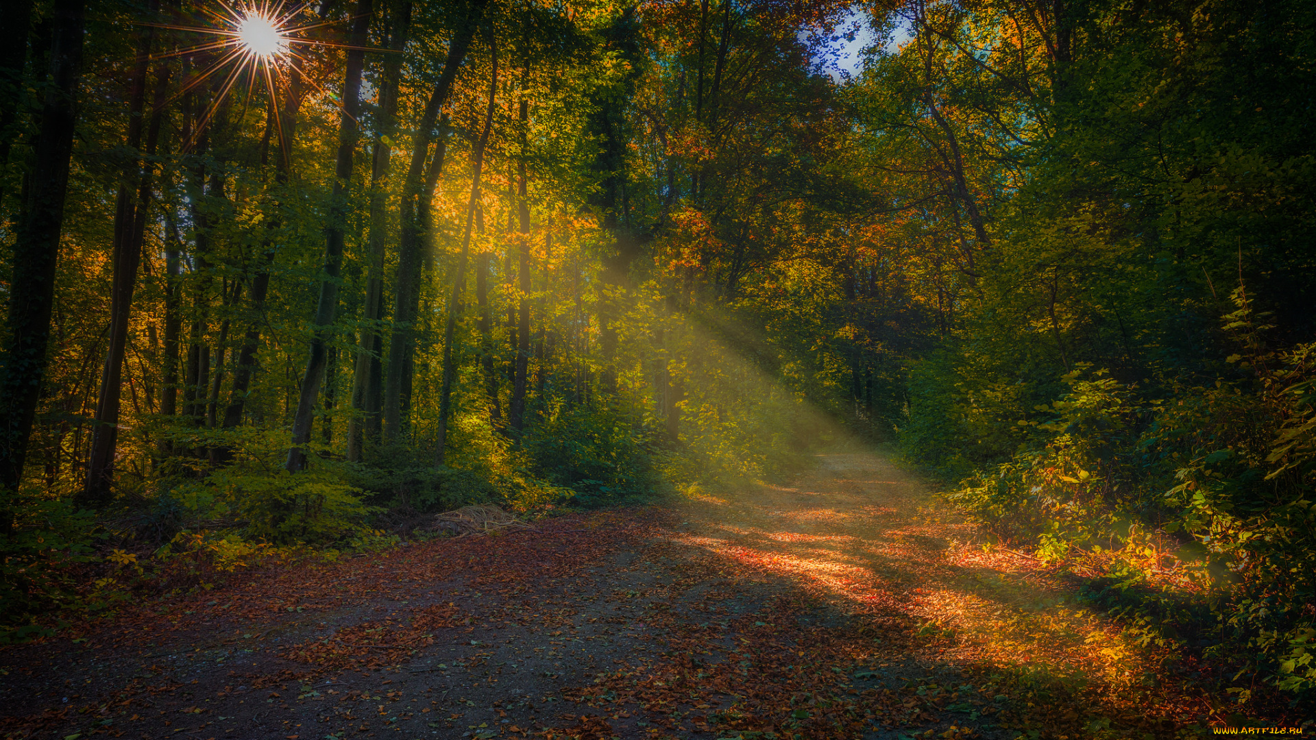 природа, дороги, тракт