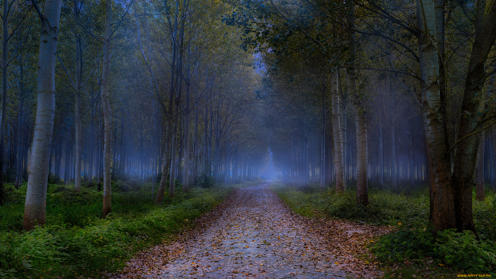 природа, дороги, тракт