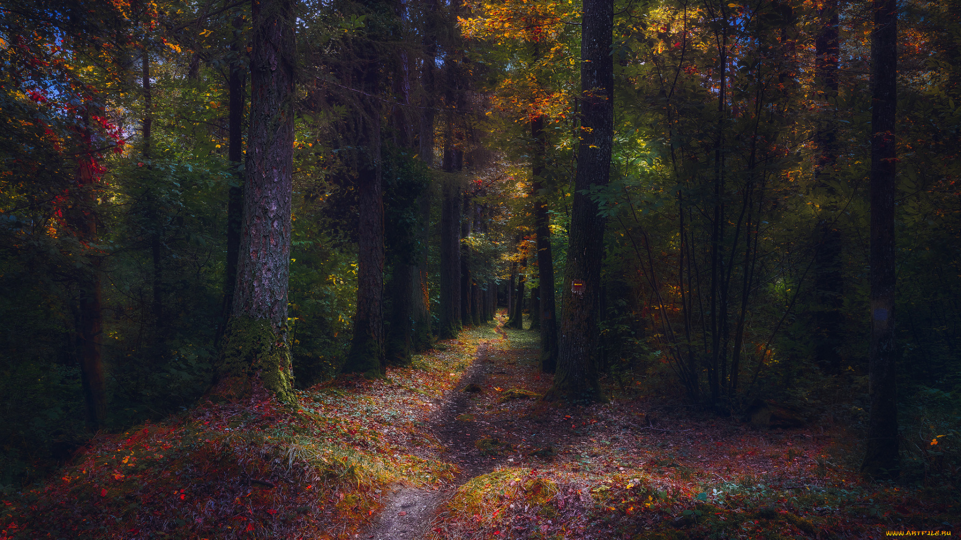 природа, дороги, тракт