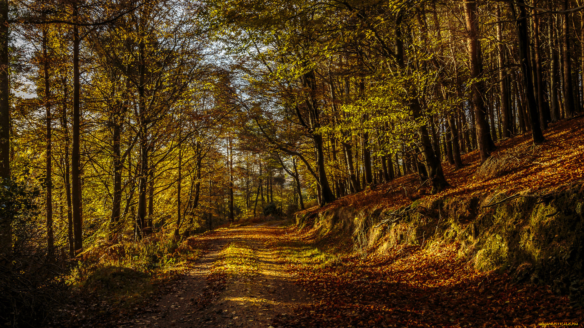 природа, дороги, тракт