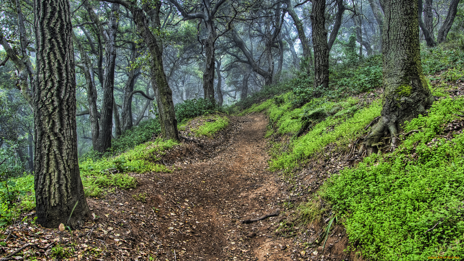 природа, дороги, тракт