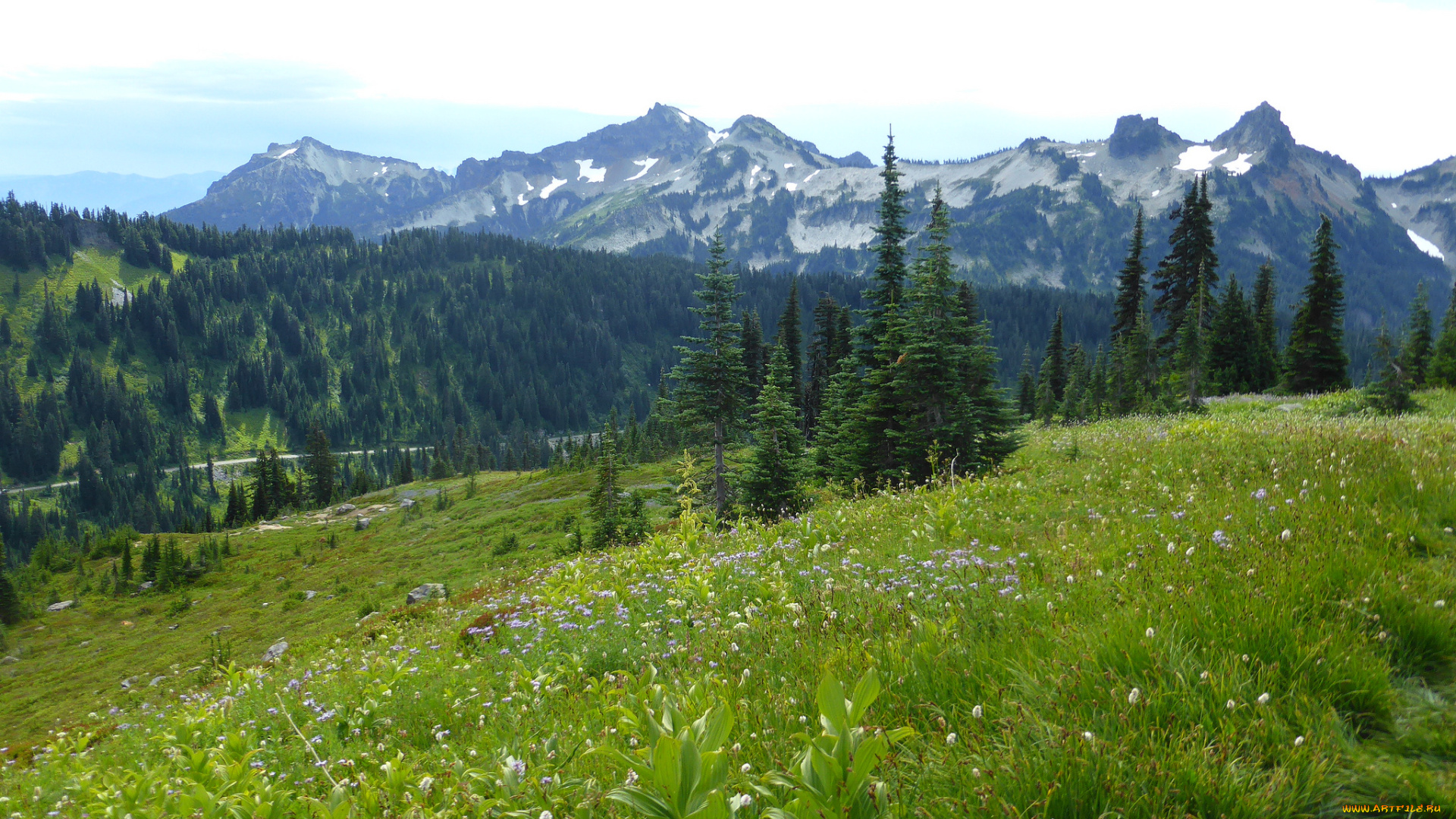 природа, горы, простор