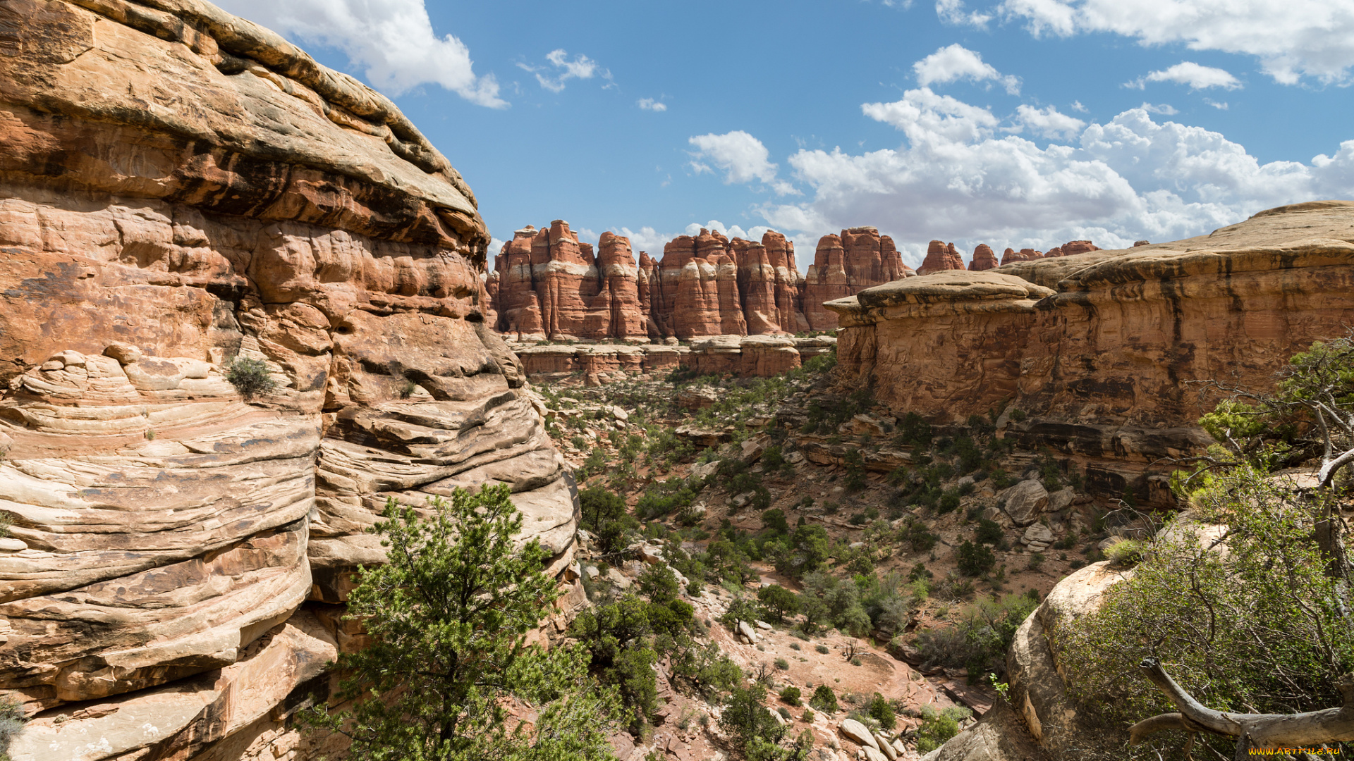 природа, горы, простор