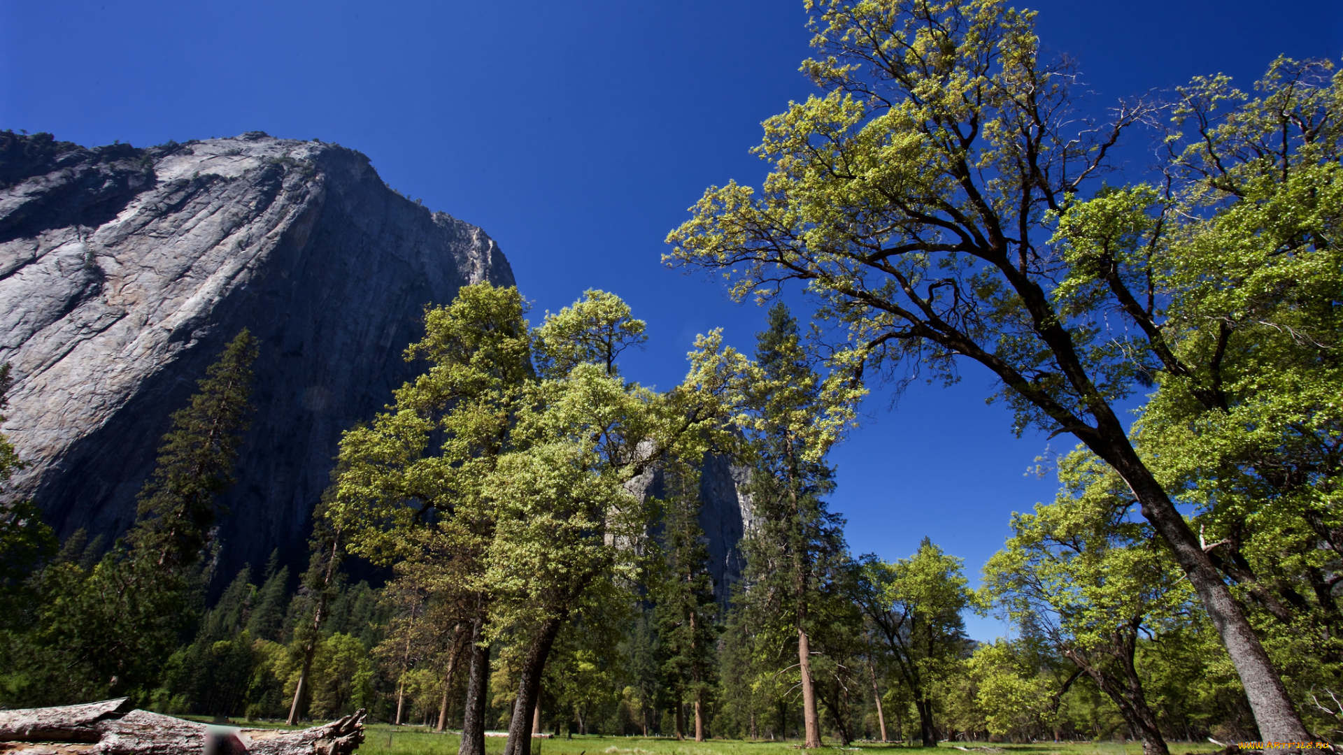 природа, горы, простор