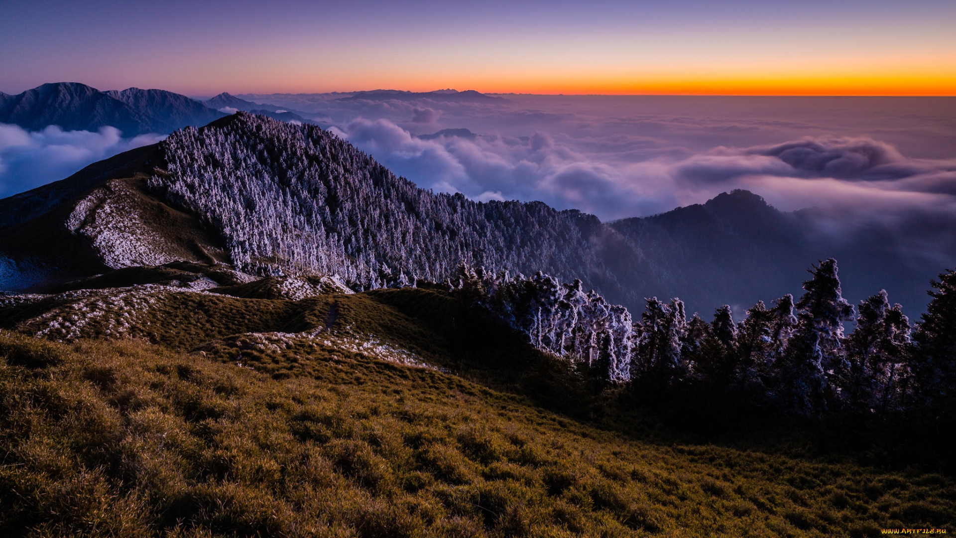 природа, горы, закат, пейзаж, трава, небо, вид, вершины, деревья, туман, снег, лес, высота, осень, горизонт, холмы, даль, дымка, вечер, ели, освещение, зима, иней, спуск, холод, склон, красота, ёлки