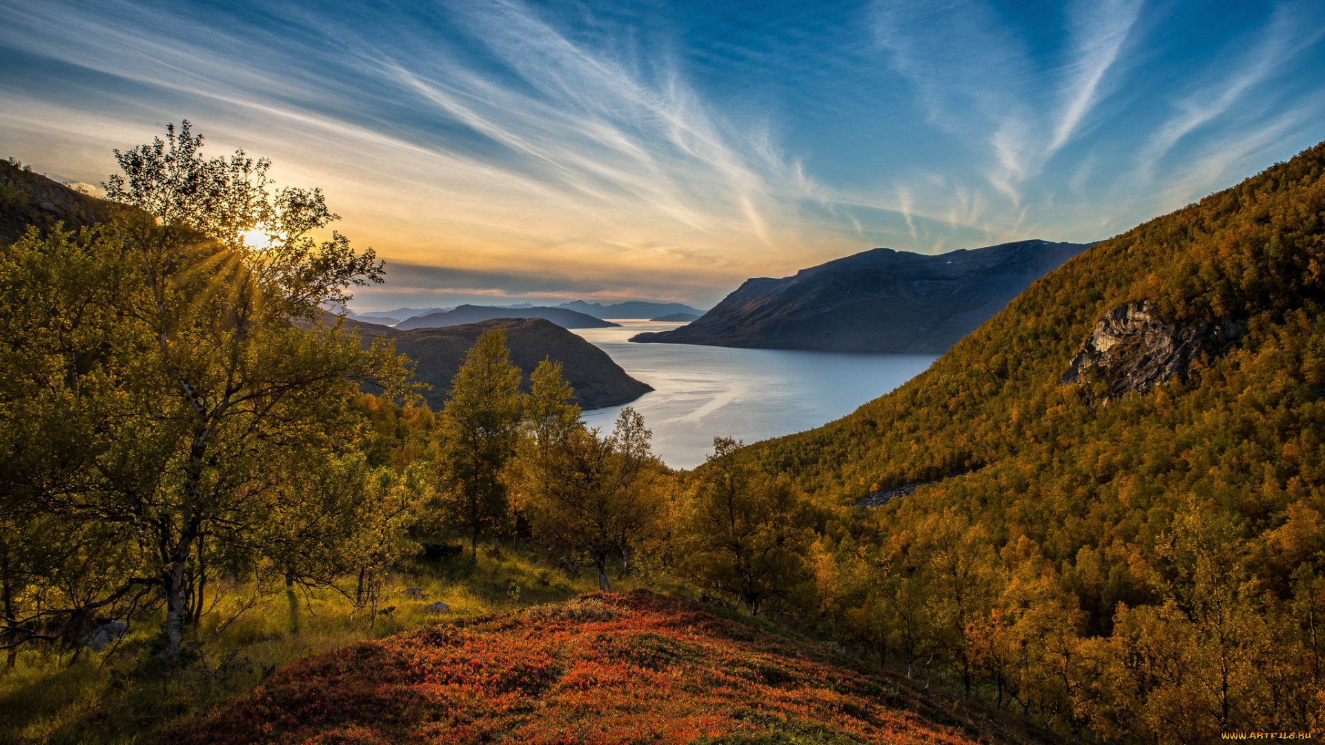 природа, реки, озера, лес, река