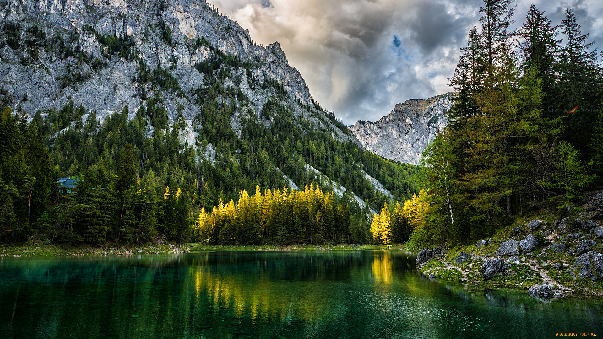 природа, реки, озера, лес, река