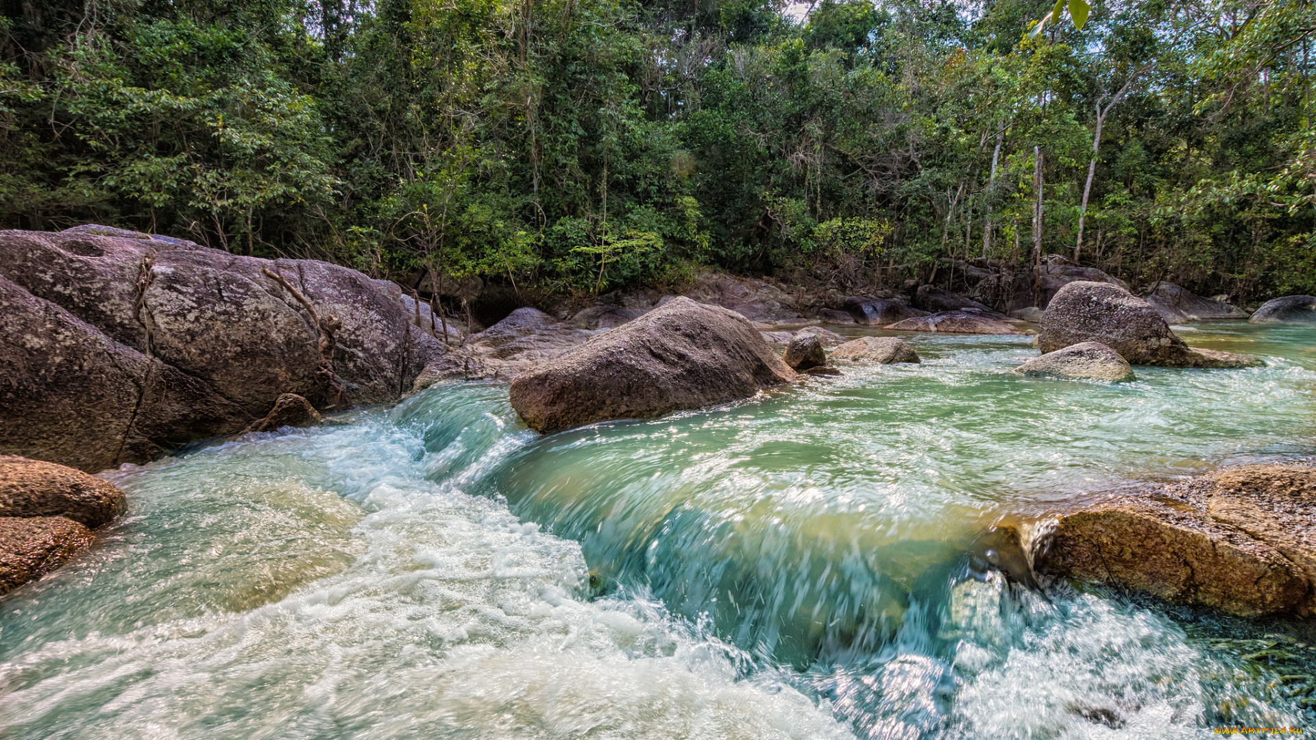 природа, реки, озера, лес, река