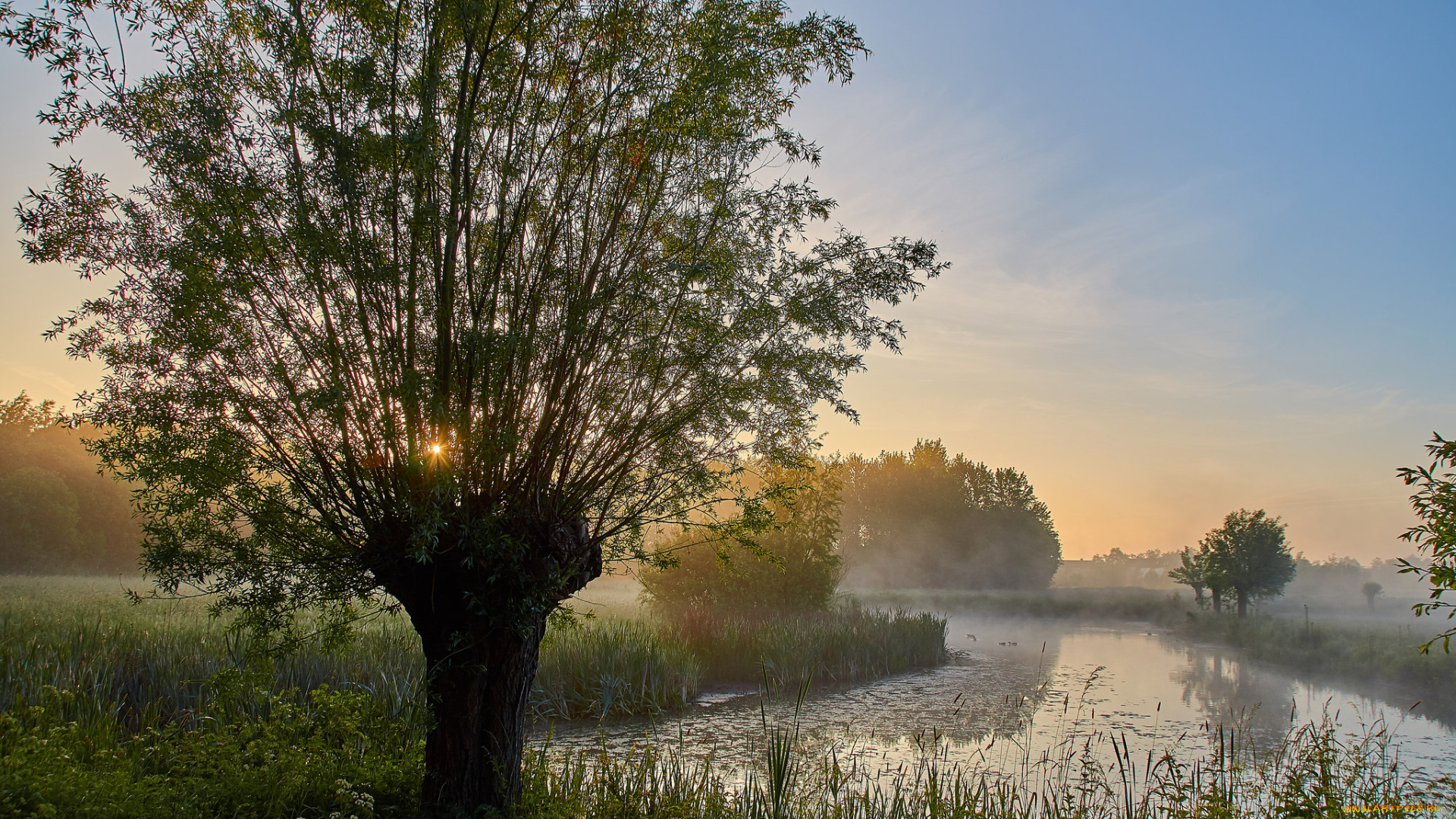 природа, реки, озера, лес, река