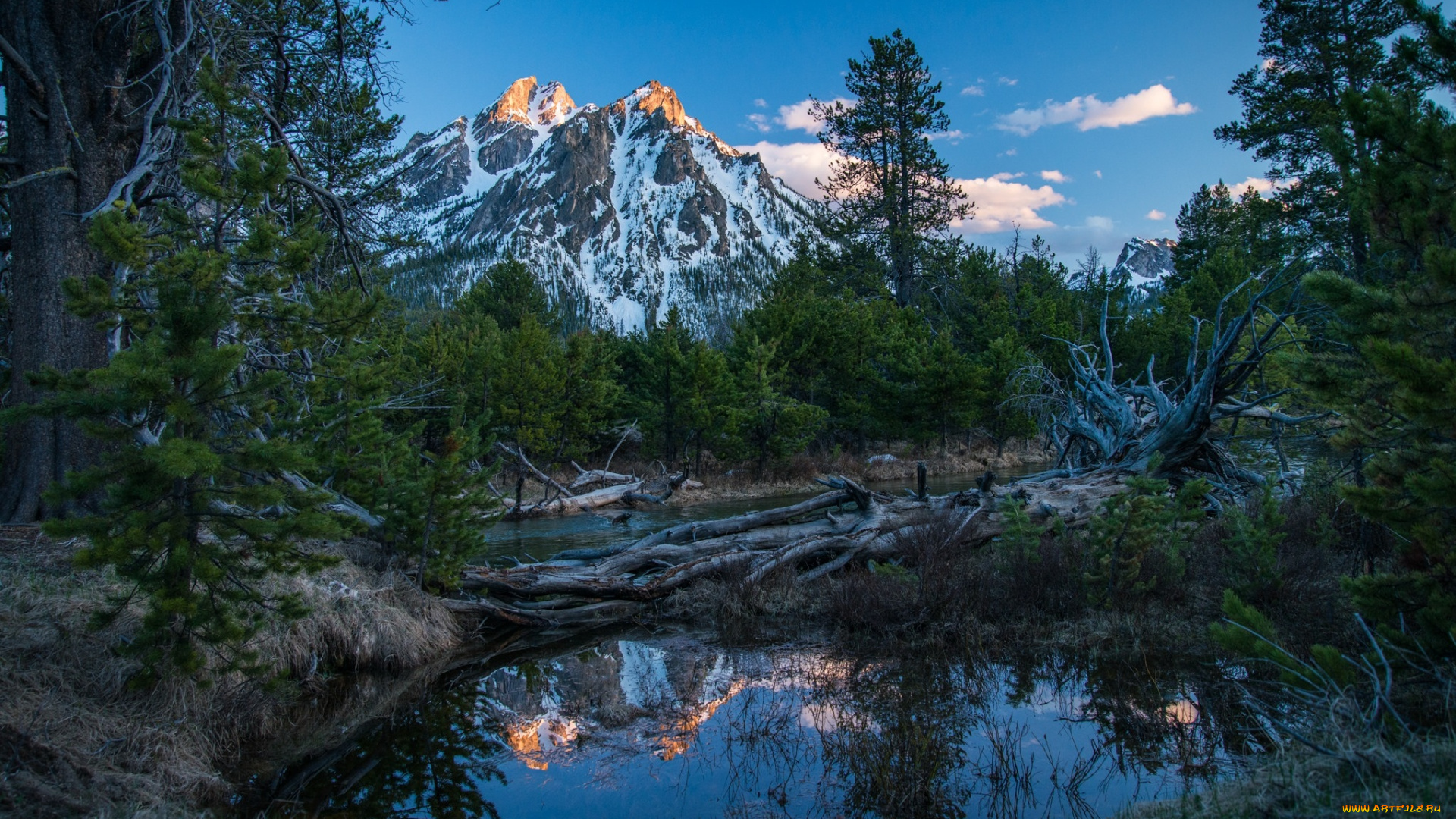 природа, реки, озера, лес, река