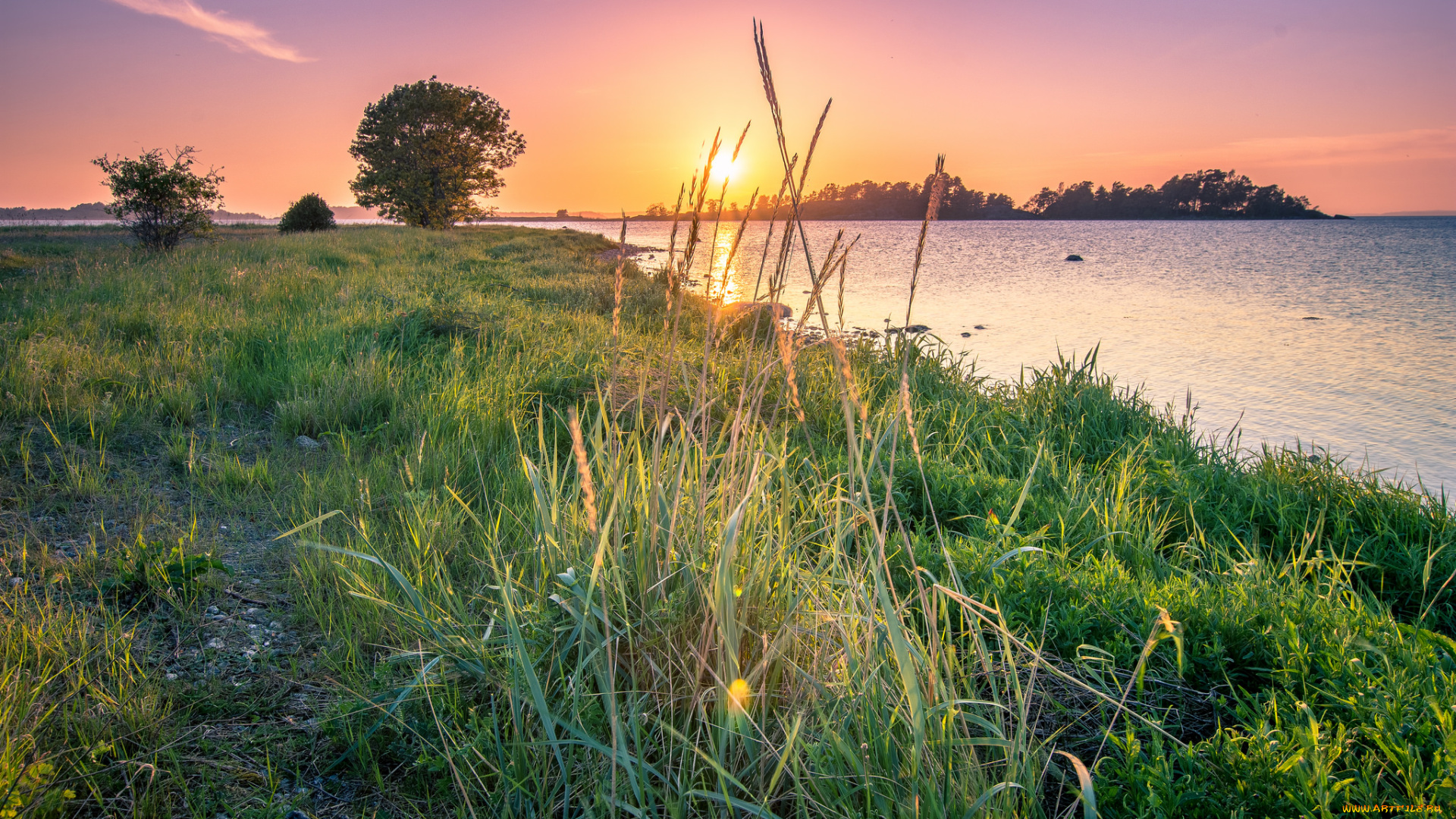 природа, реки, озера, лес, река