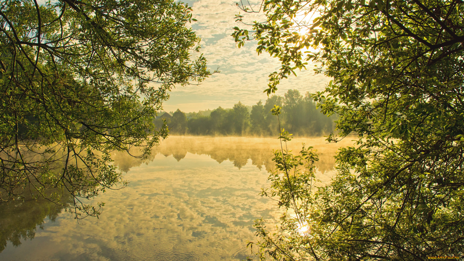 природа, реки, озера, лес, река