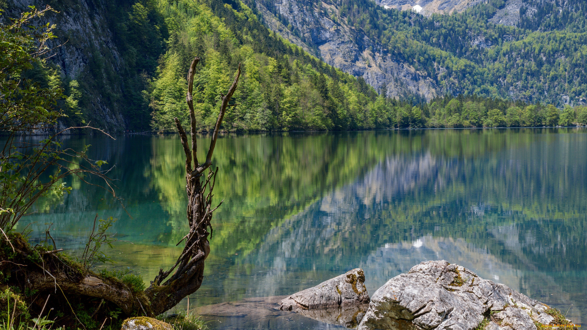 природа, реки, озера, лес, река