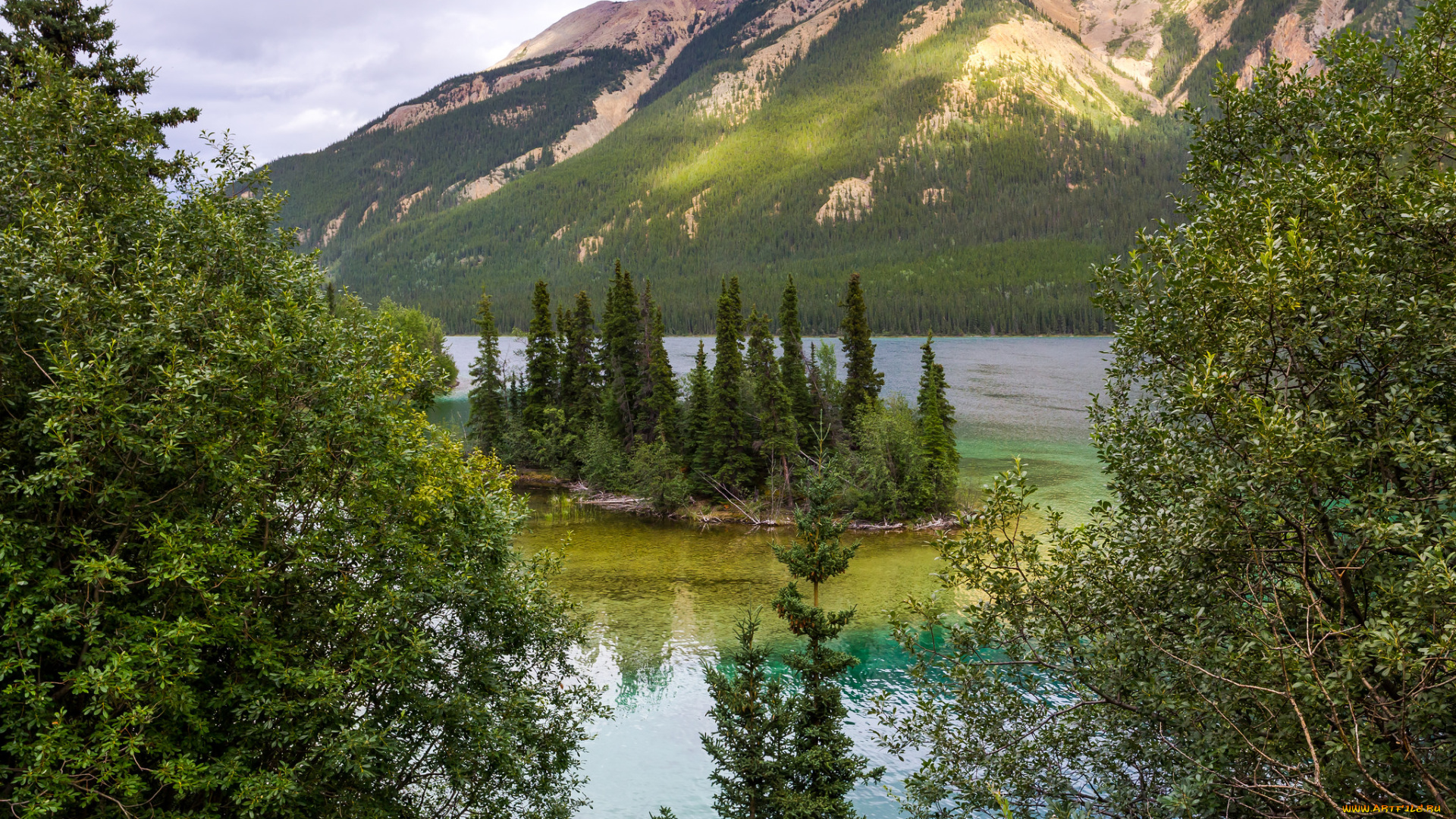 природа, реки, озера, лес, река