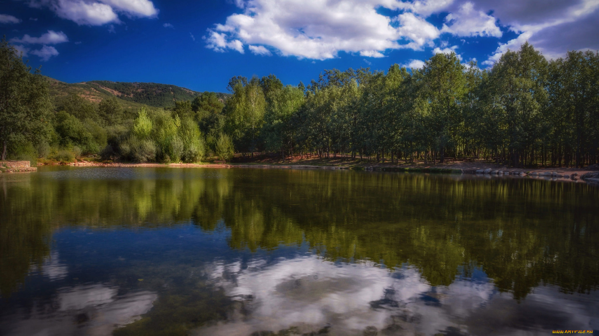 природа, реки, озера, лес, река