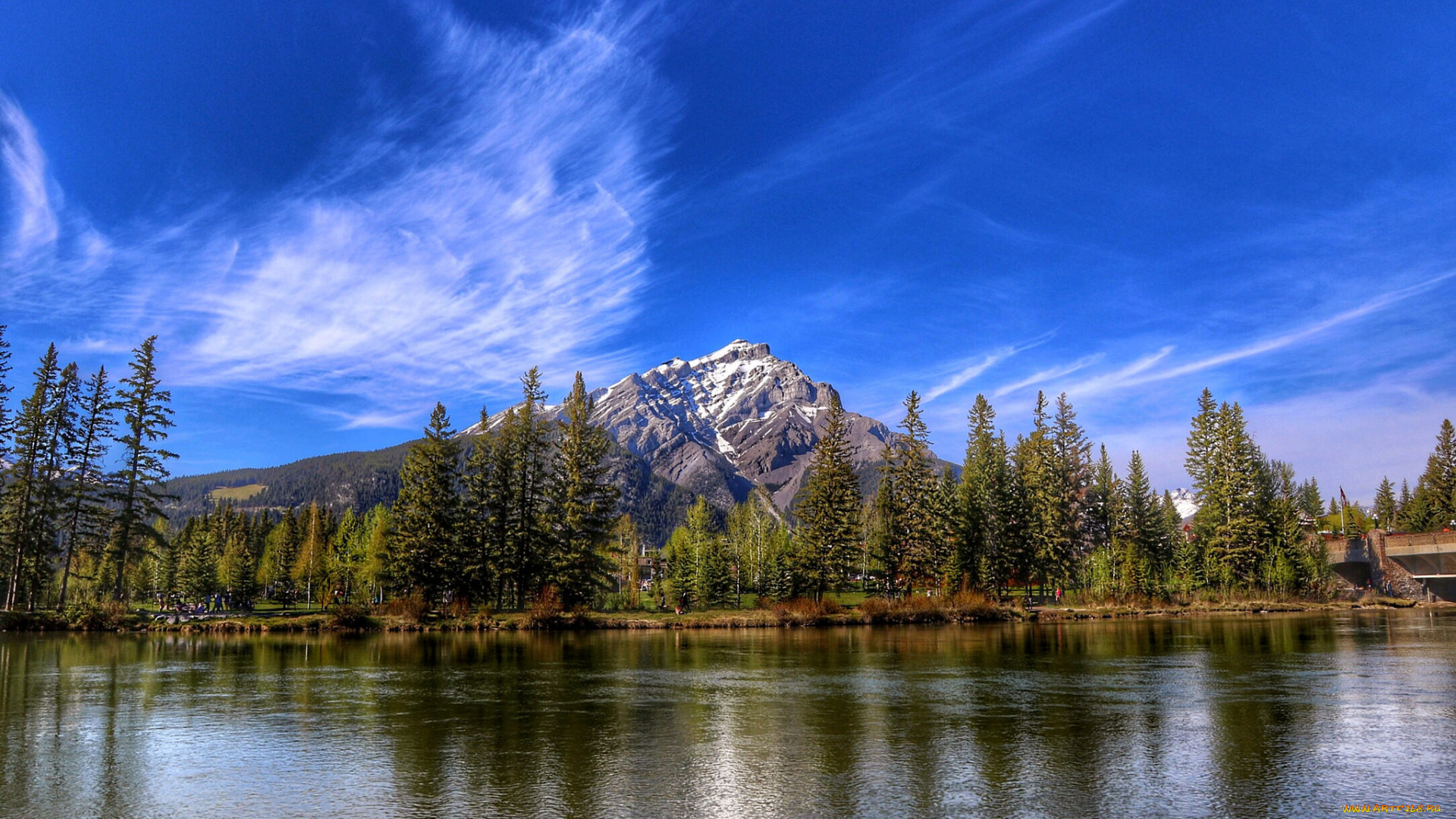 природа, реки, озера, лес, река