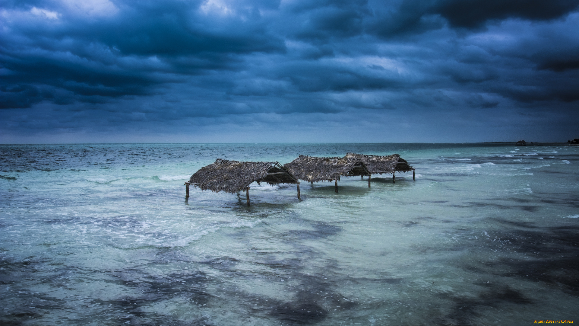 природа, тропики, курорт