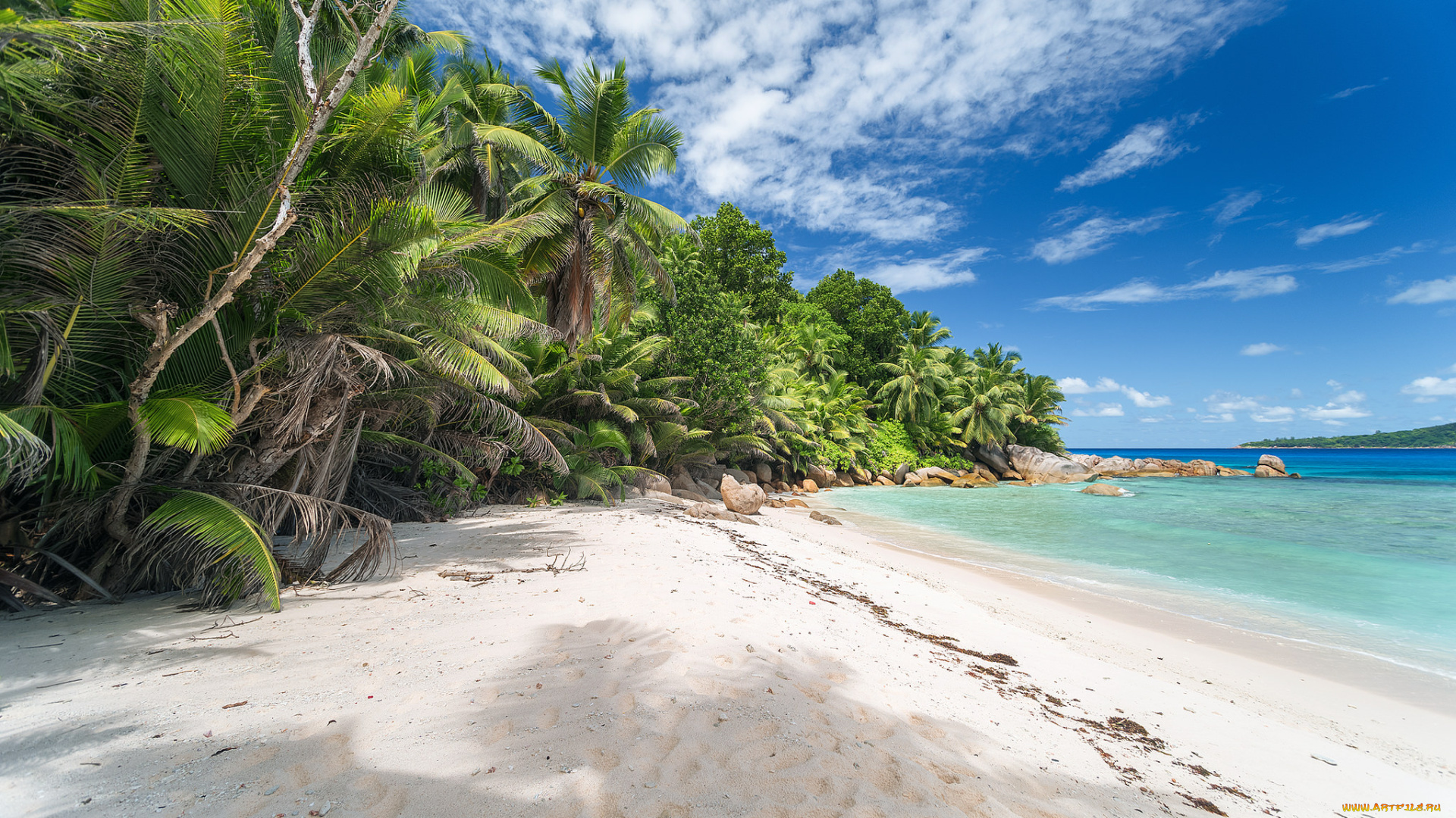 природа, тропики, курорт