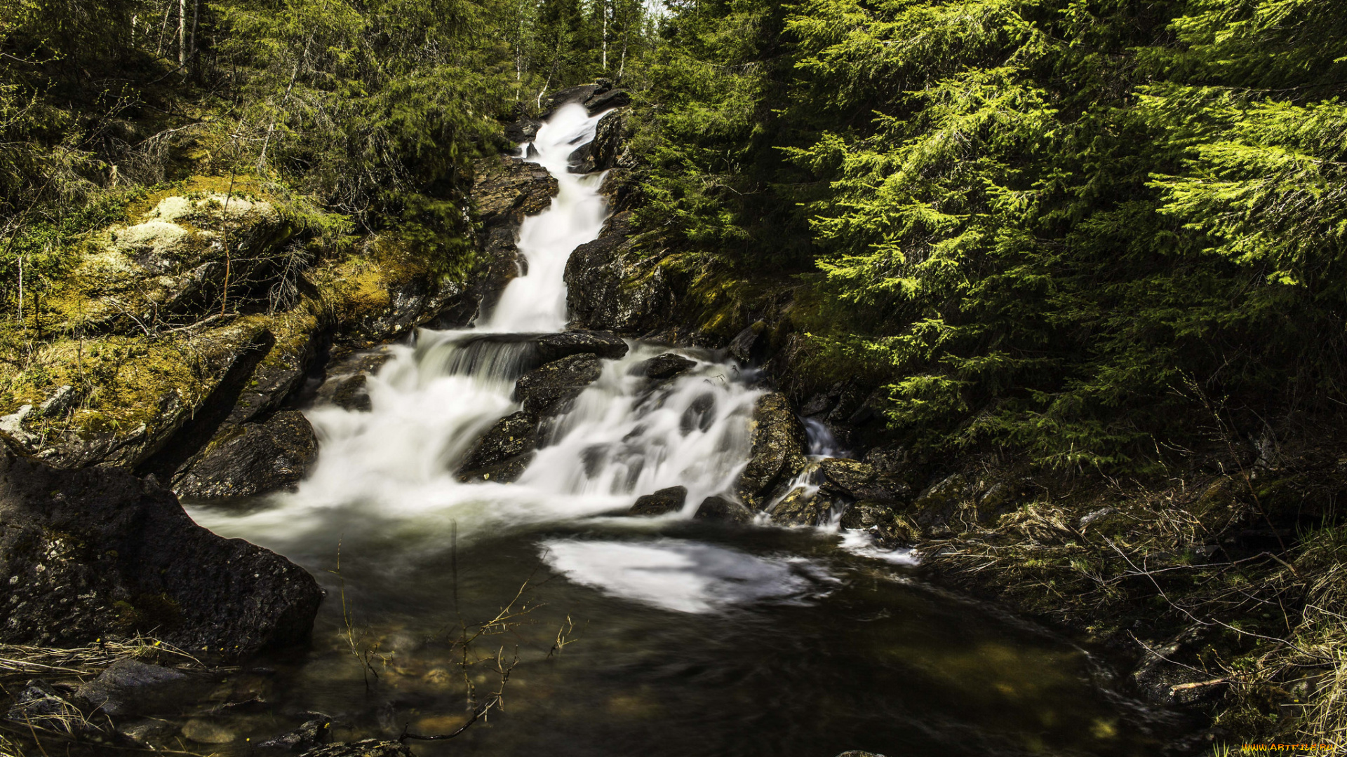 природа, водопады, река, лес, водопад