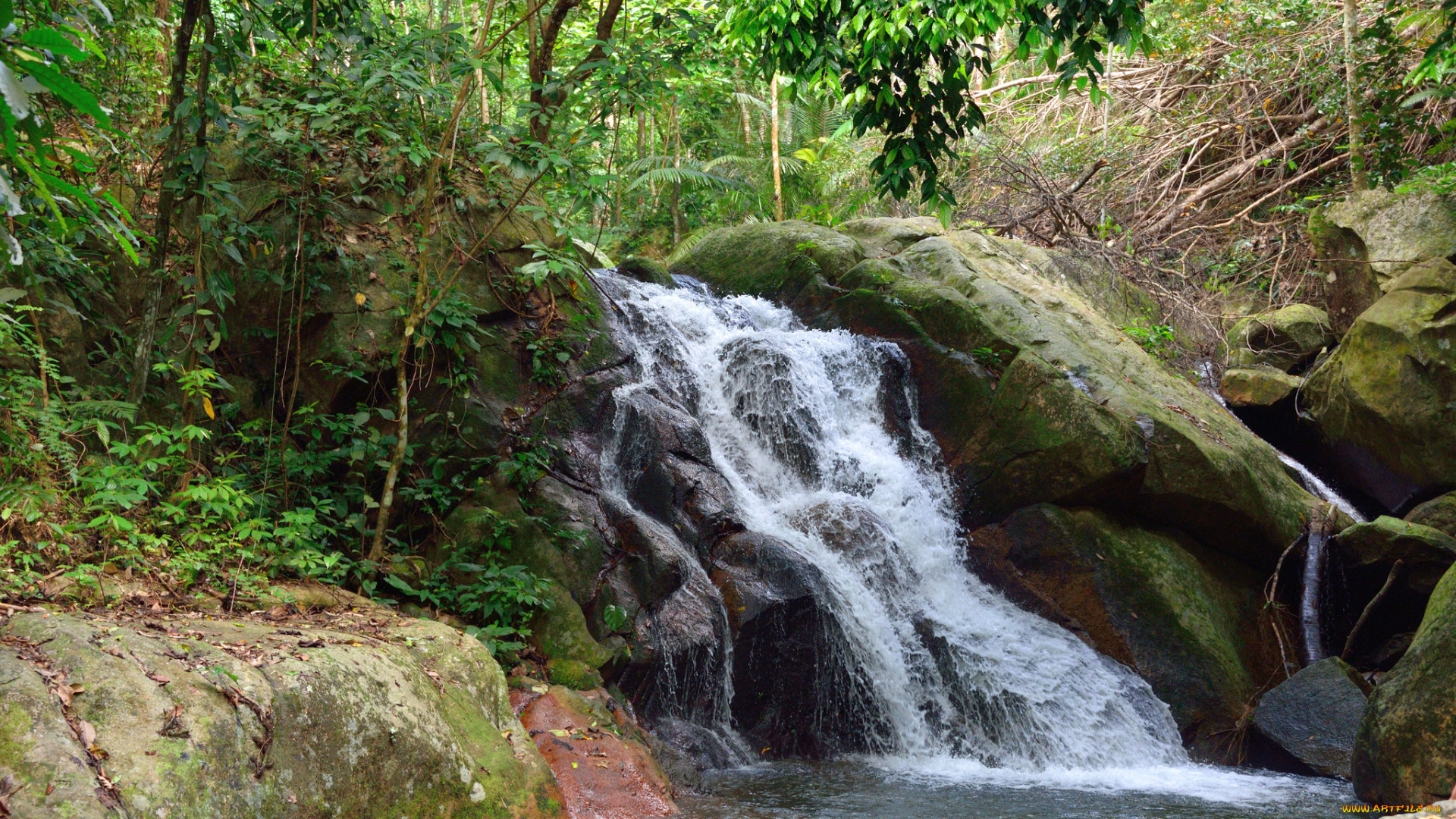 природа, водопады, река, водопад, лес