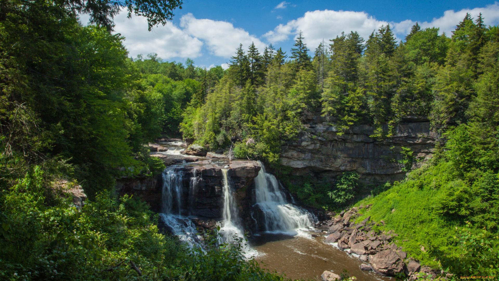 природа, водопады, водопад, лес, река