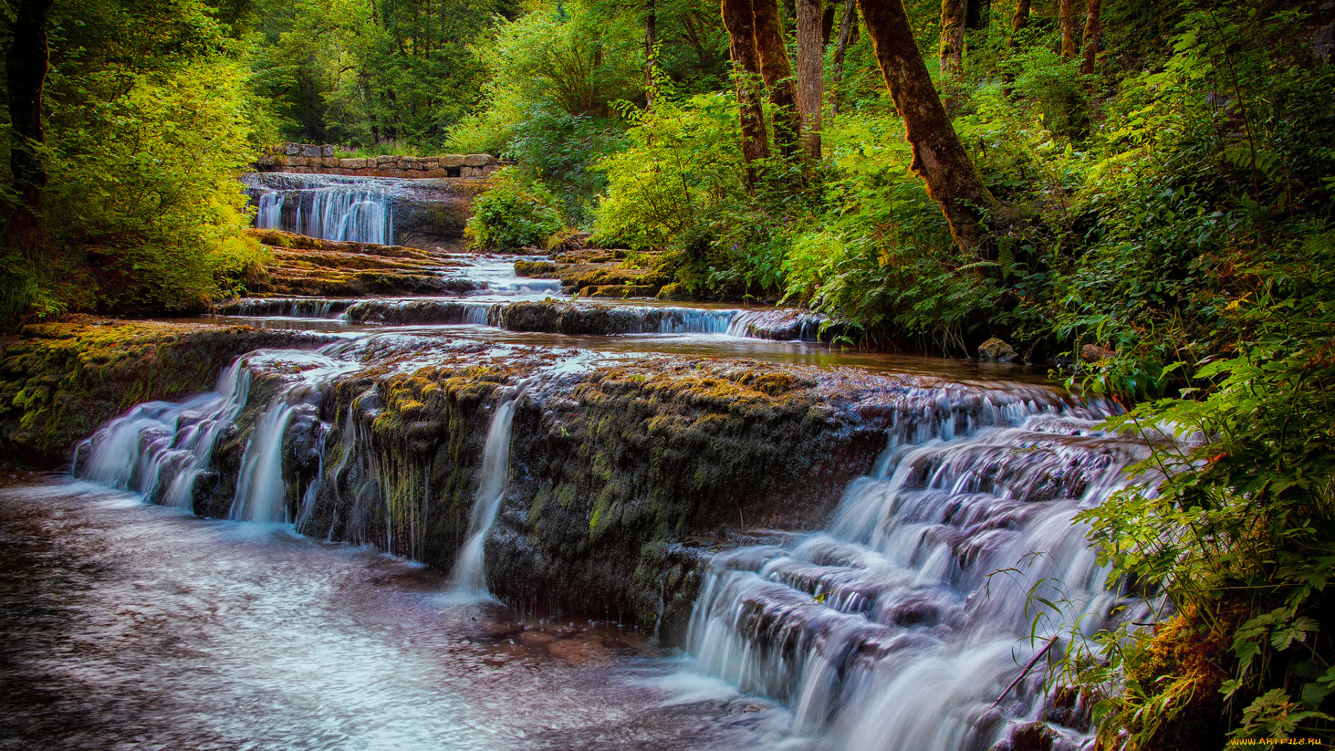 природа, водопады, водопад, река, лес