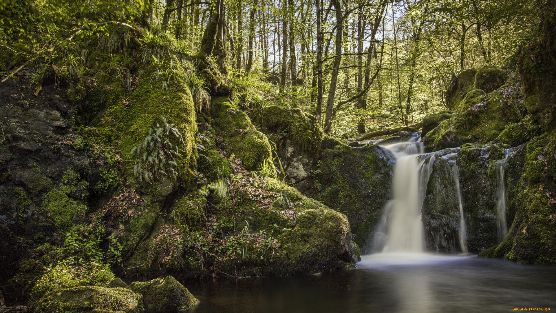 природа, водопады, водопад, река, лес