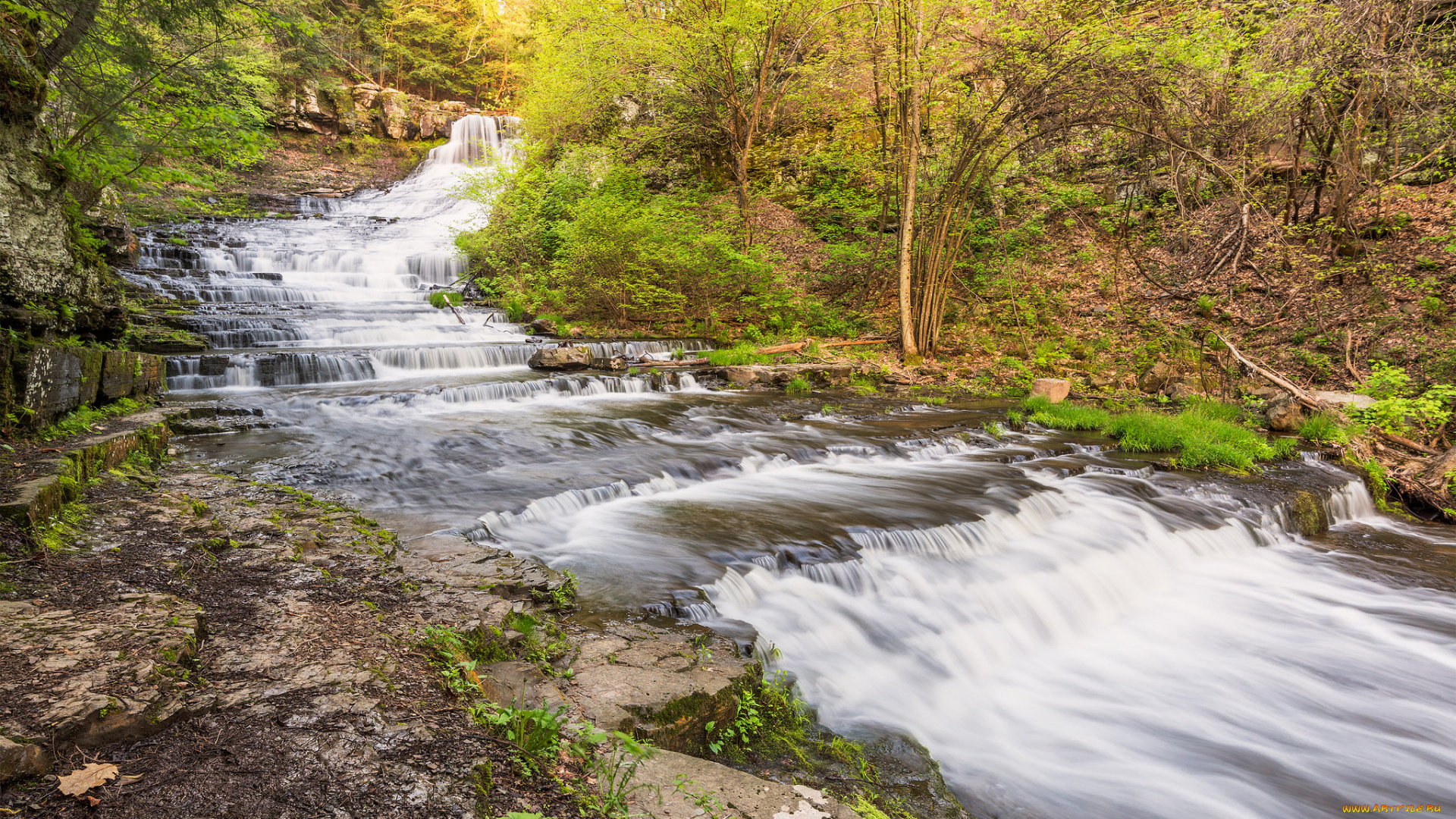 природа, водопады, водопад, река, лес