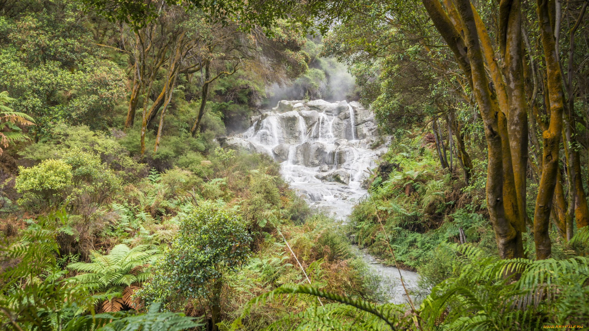 природа, водопады, водопад, река, лес